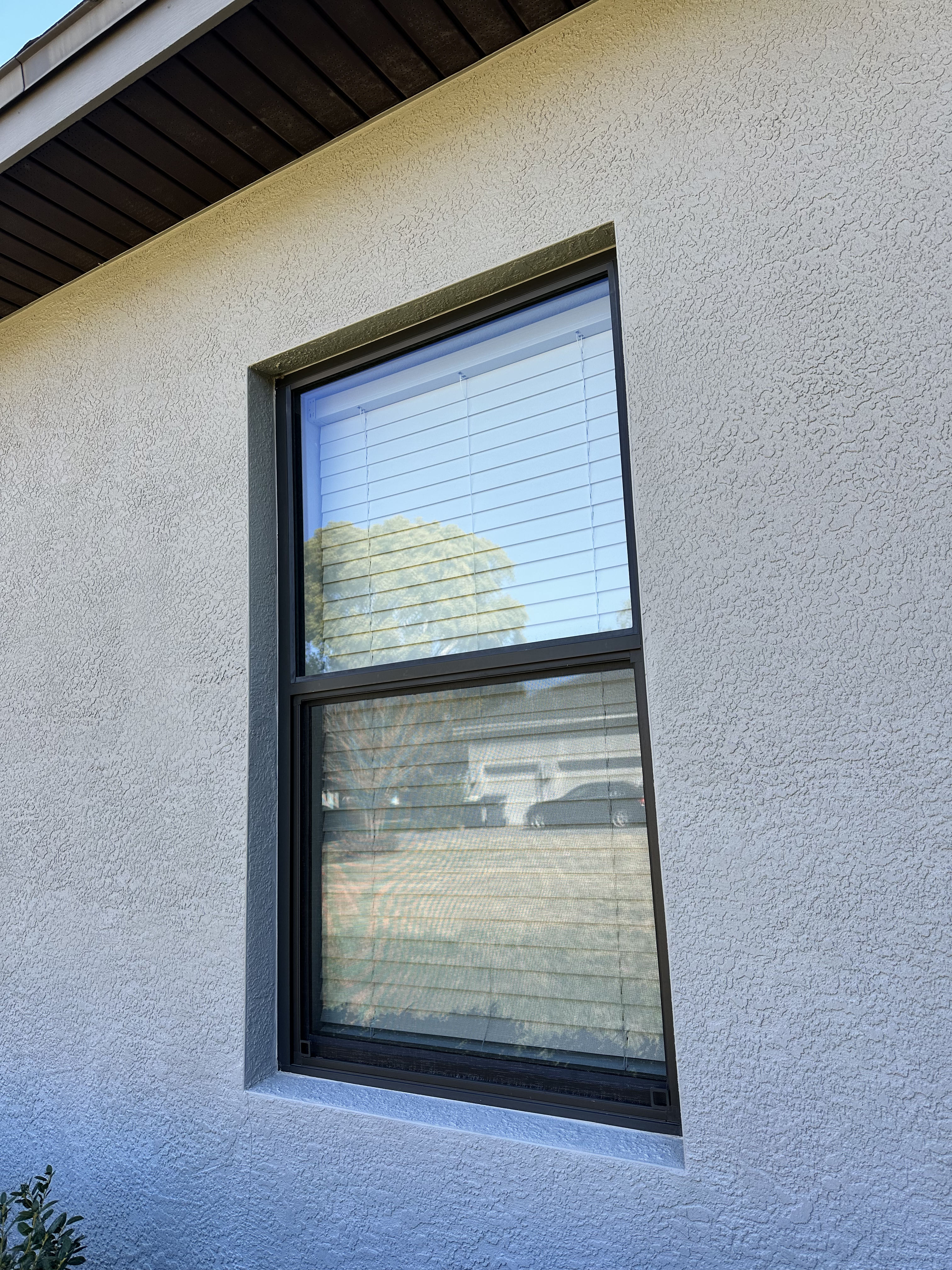 Gallery photos for Windows Gleaming at Delphi Blvd: Image #2