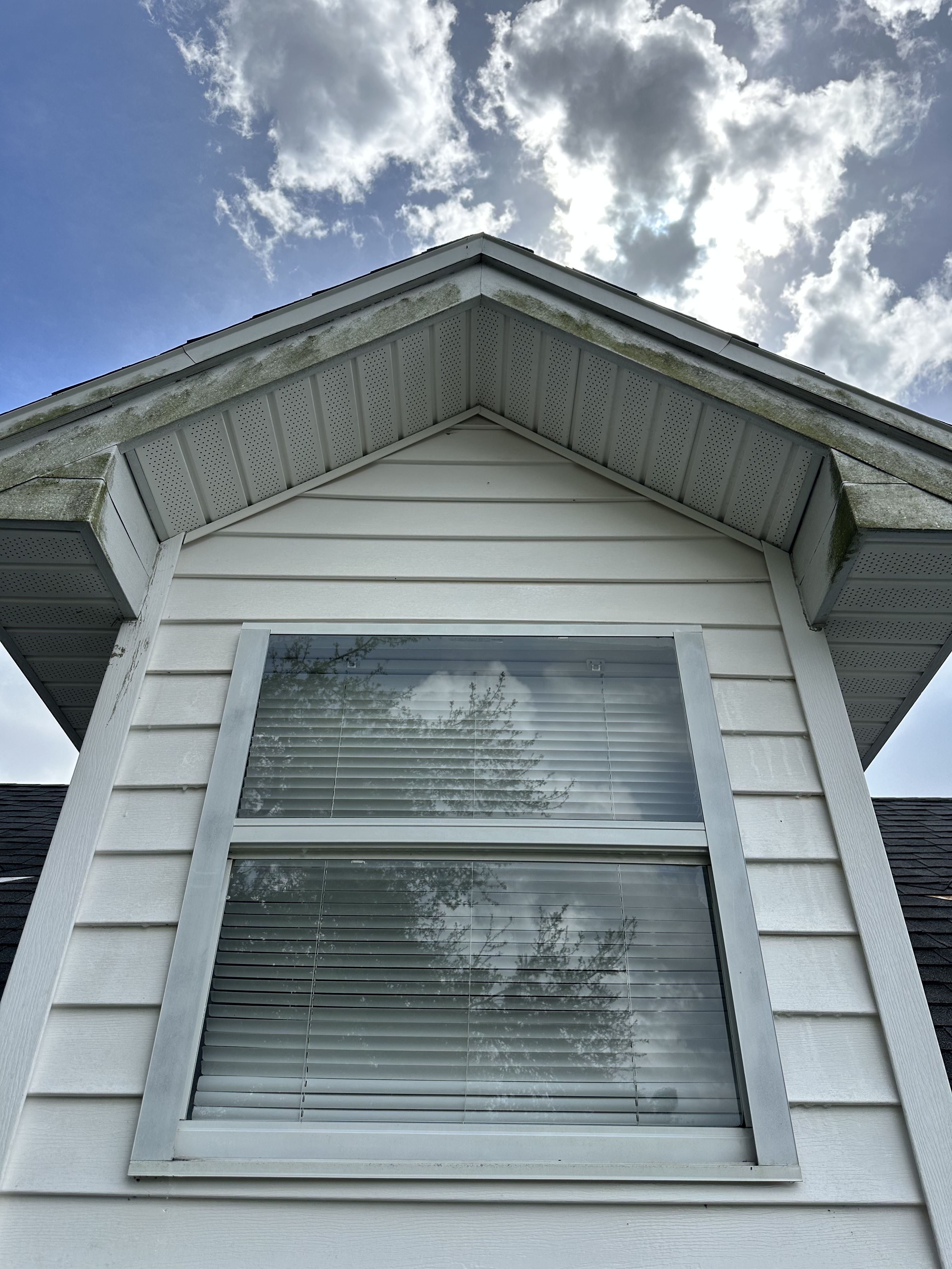 Reflecting Dreams and Possibilities with Freshly Cleaned Windows image