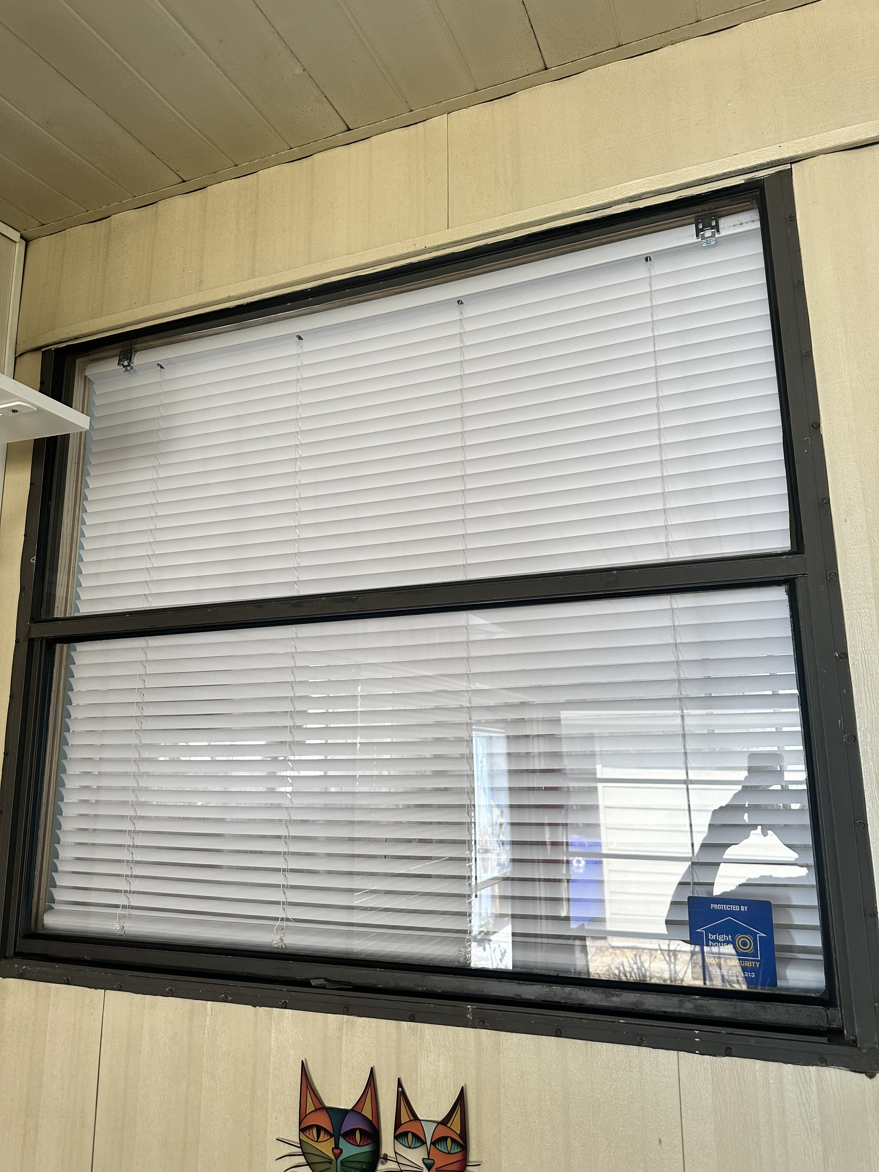 Clean Exterior Glass Makes a Bigger Difference Than You Think image