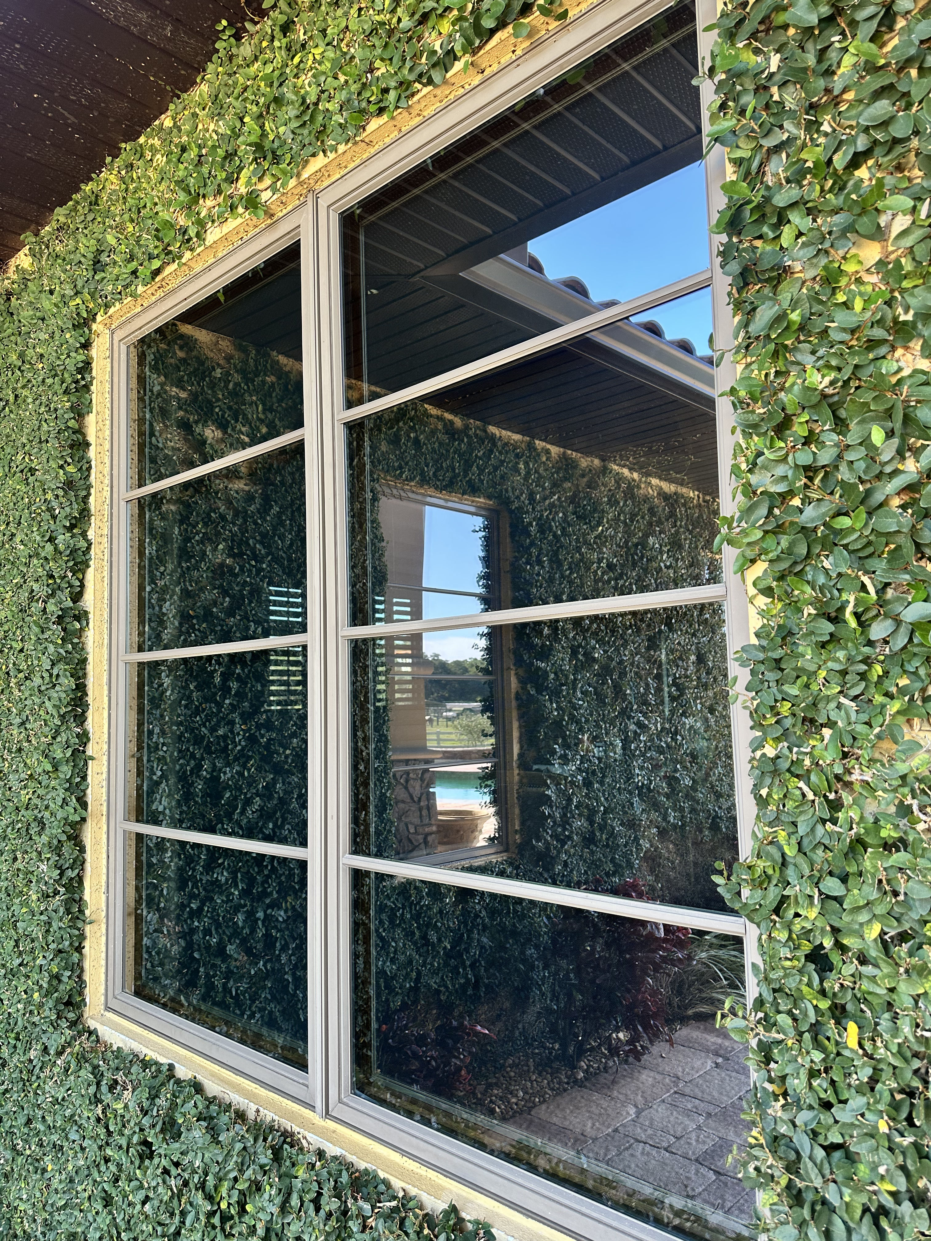 Clean Windows That Actually Show Off Your View image