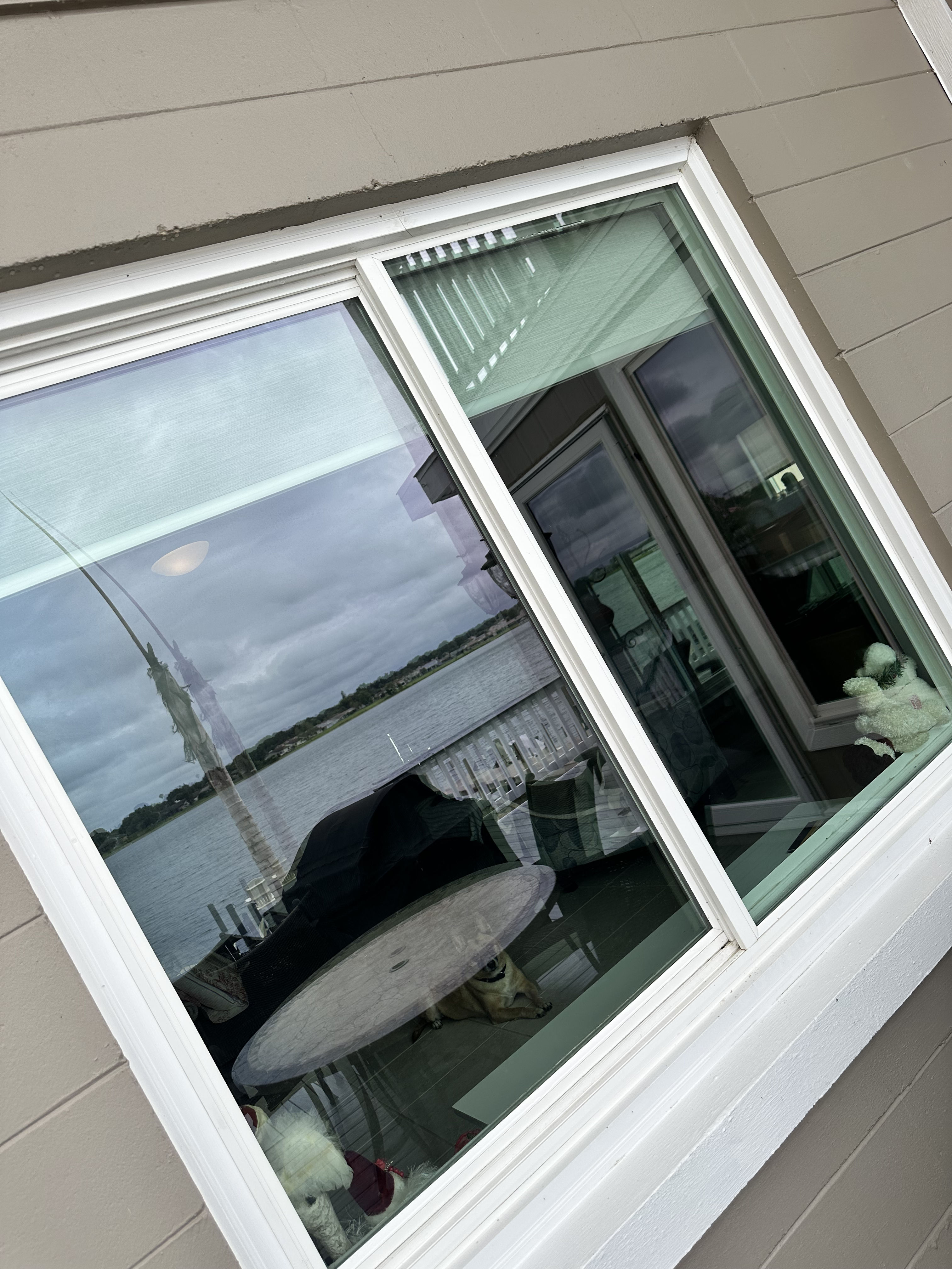 Crystal-Clear Windows That Actually Let the View In image