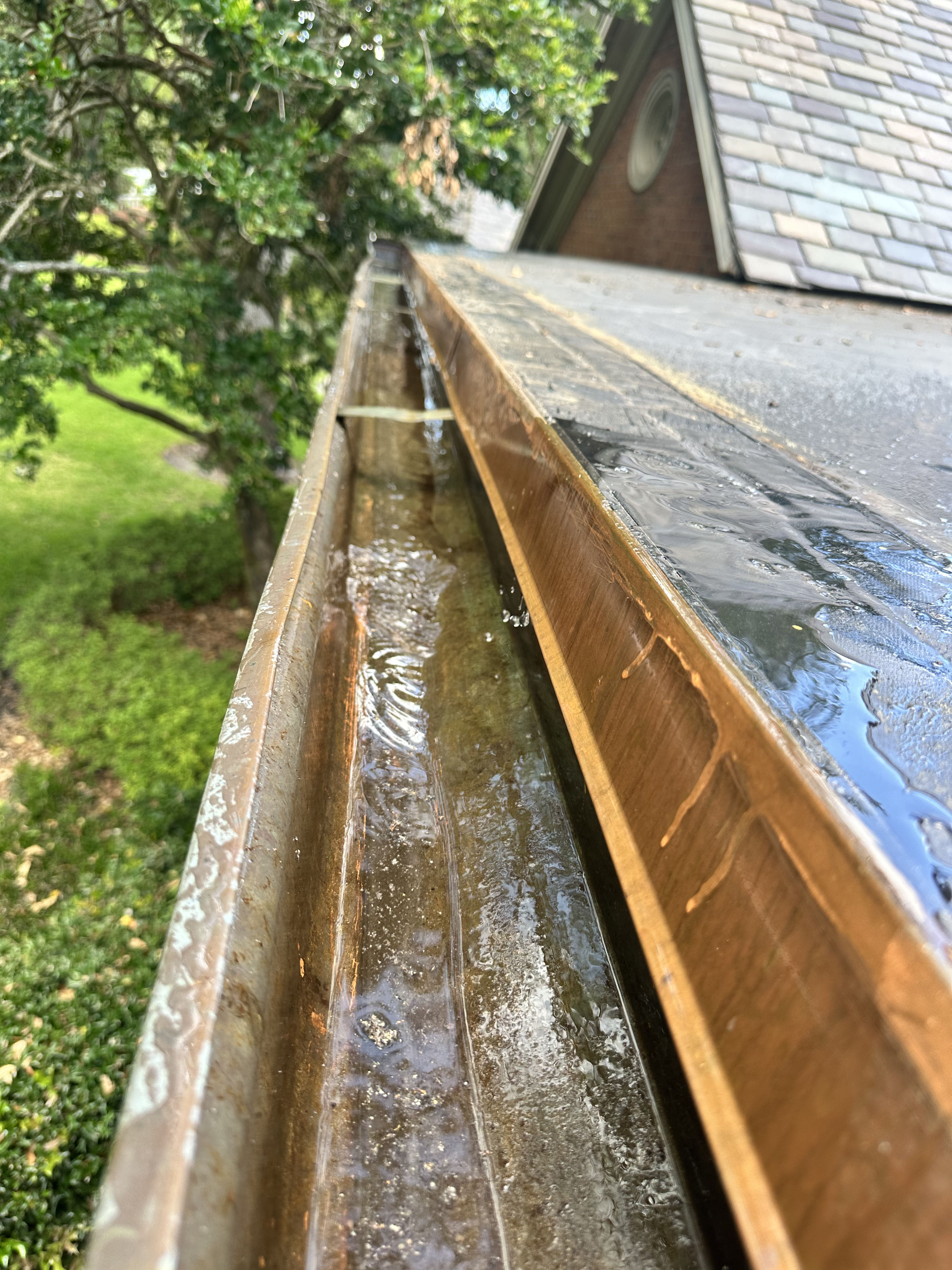 Gallery photos for Standing Water in Your Gutters Is Never a Good Sign: Image #2