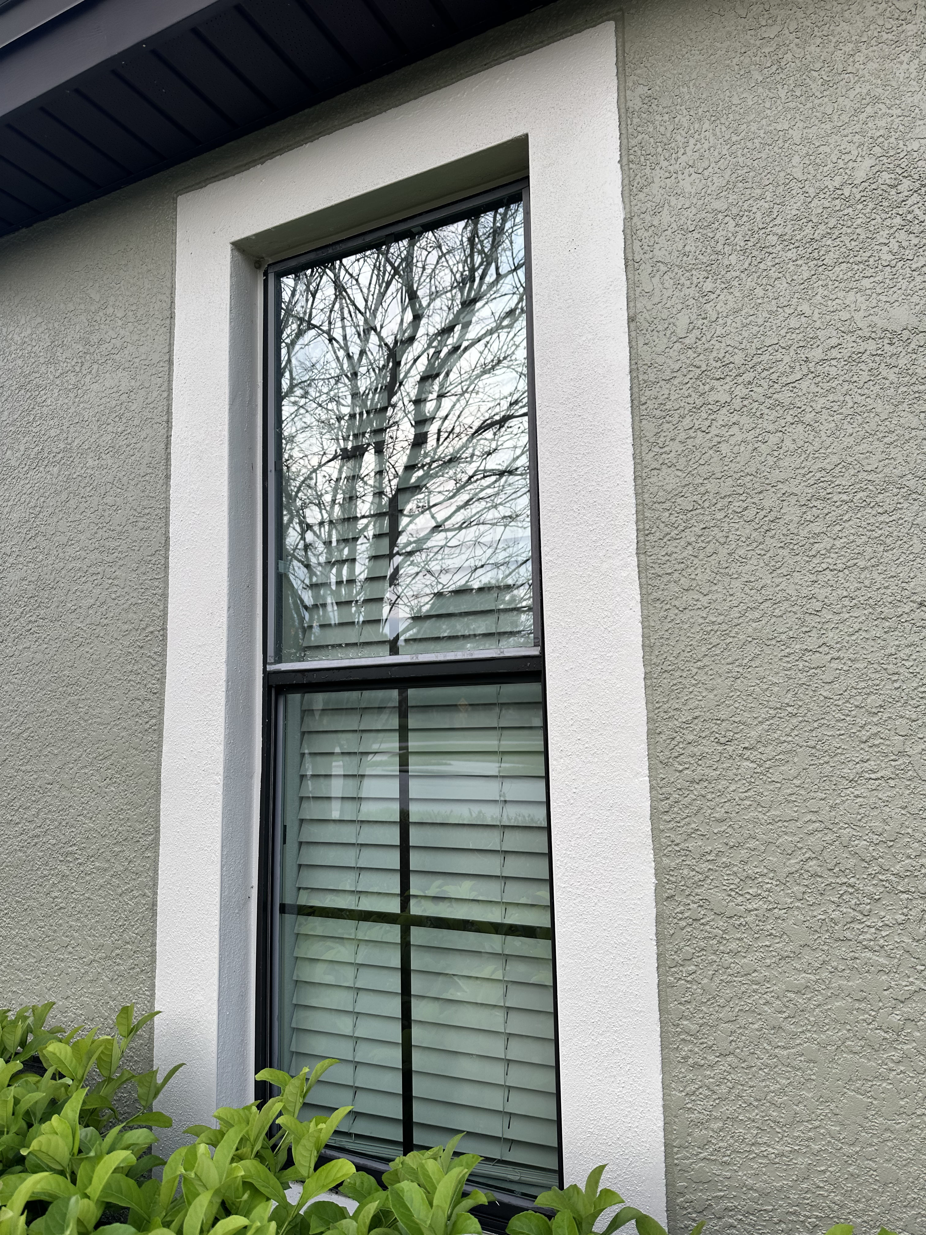 Lakeland's Clear Success with Window Cleaning image