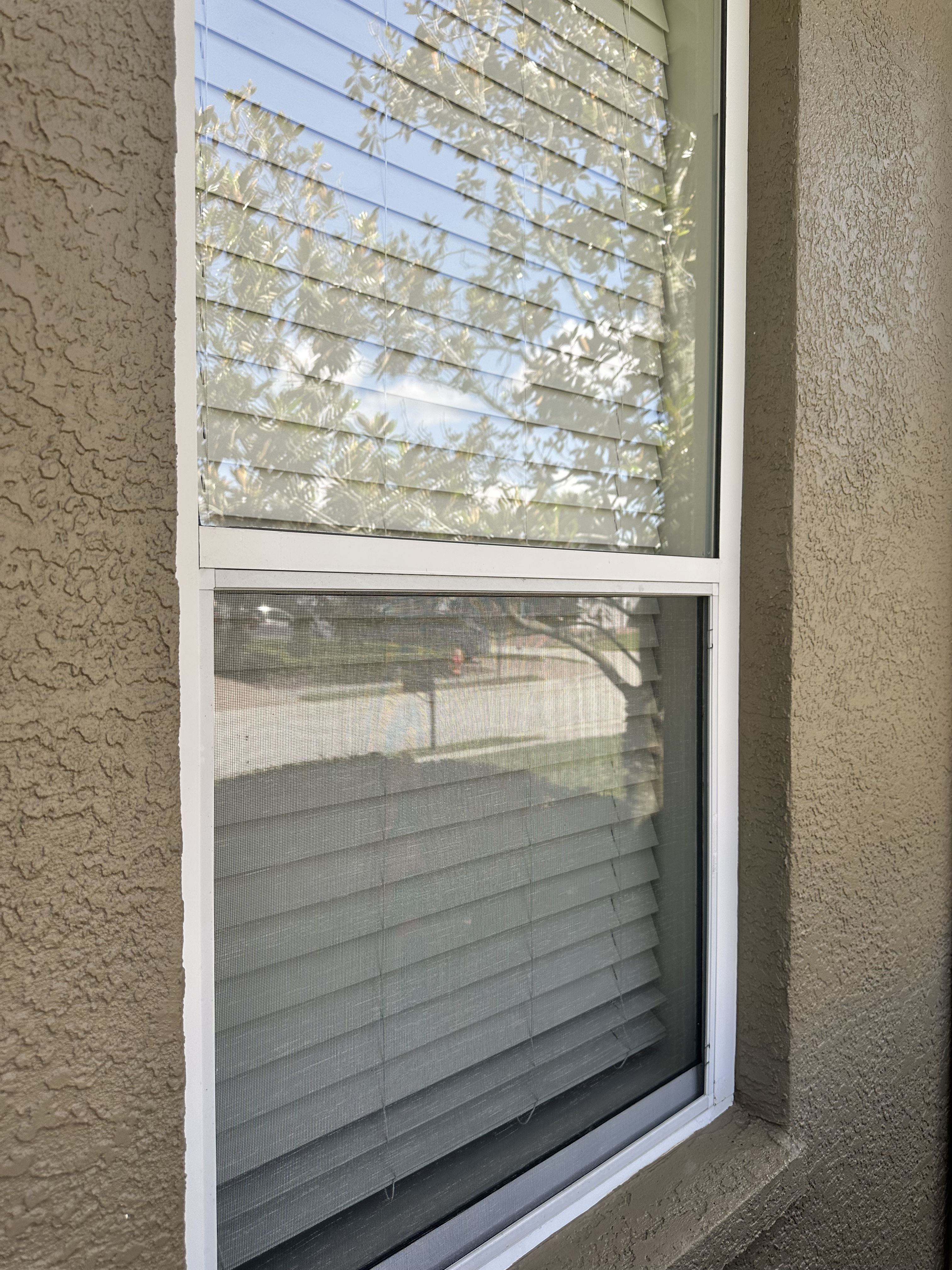 Gallery photos for Clean Windows Make Your Whole Home Look Better: Image #1