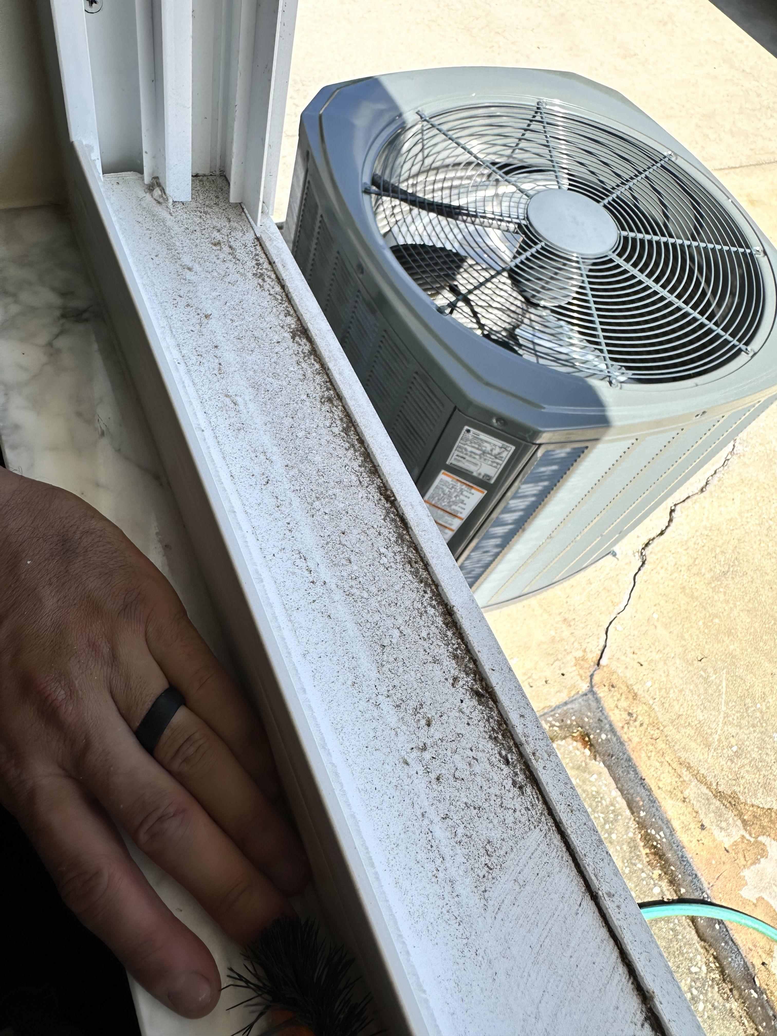Window Track Detailing - The Small Detail That Changes Everything image