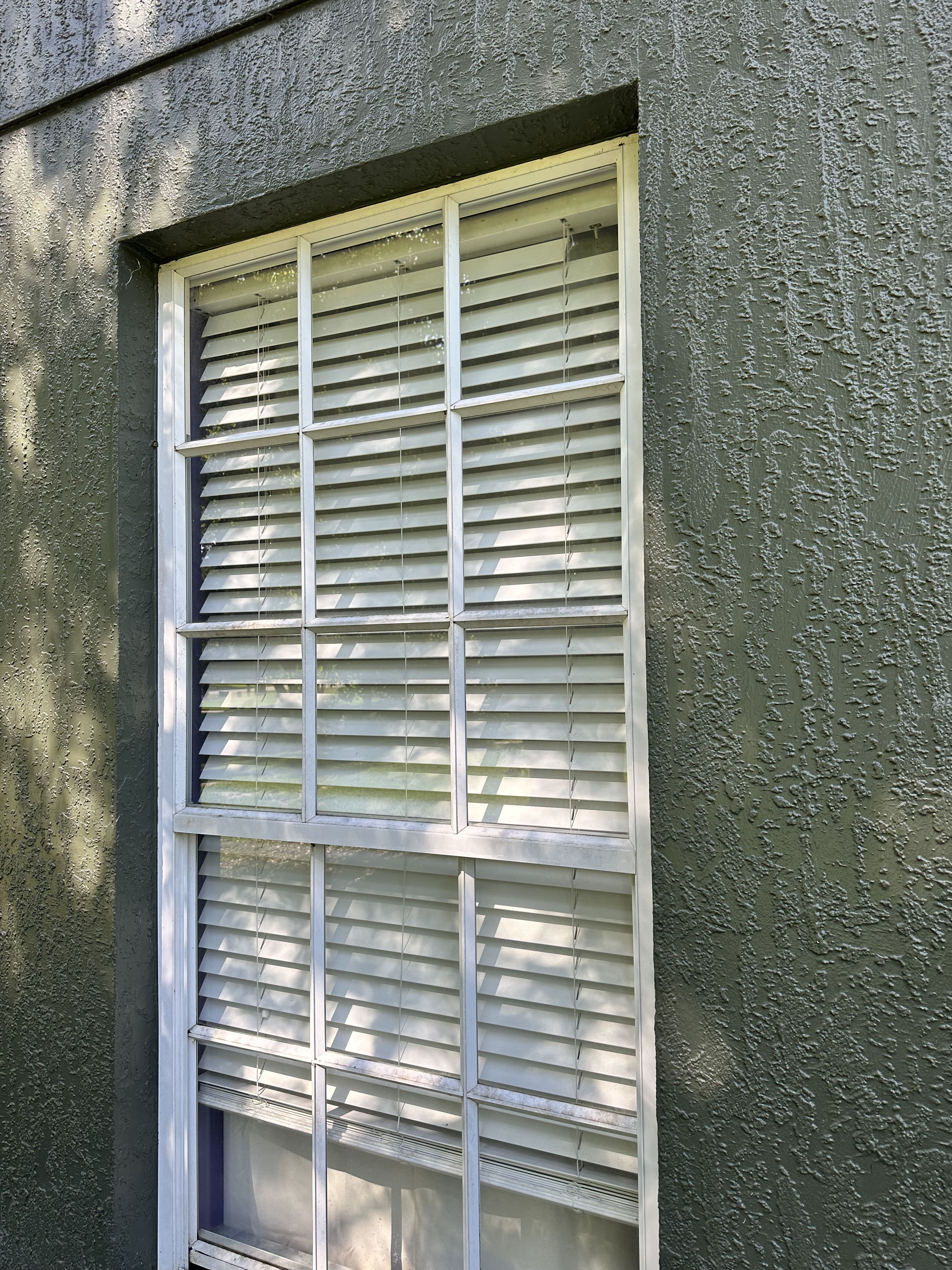 Gallery photos for Clean Windows and Glass Doors Make Your Home Feel Different: Image #4
