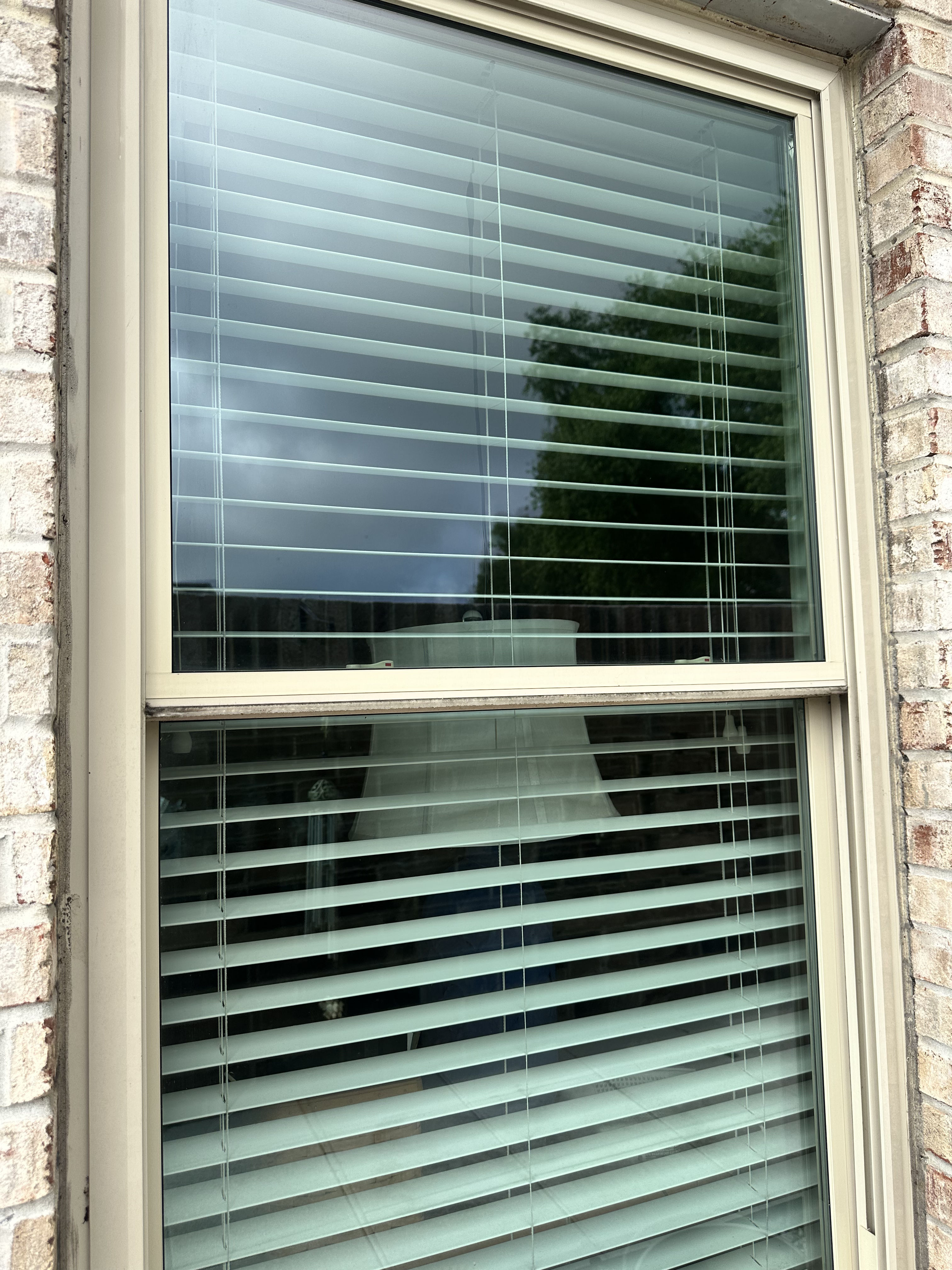 Clean Windows Make Your Whole Home Look Sharper in Lakeland image