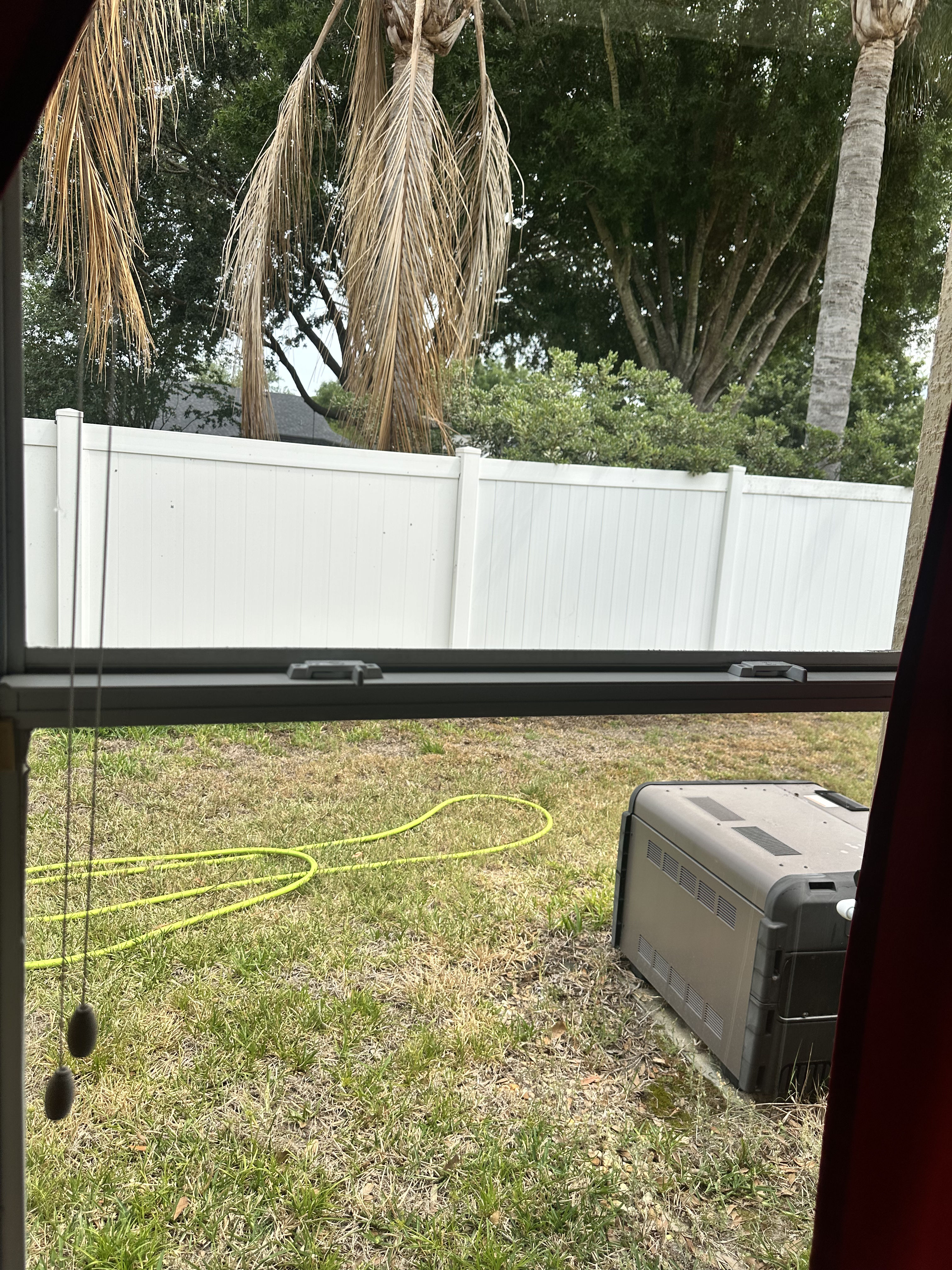 Clean Windows That Actually Let the Light In image