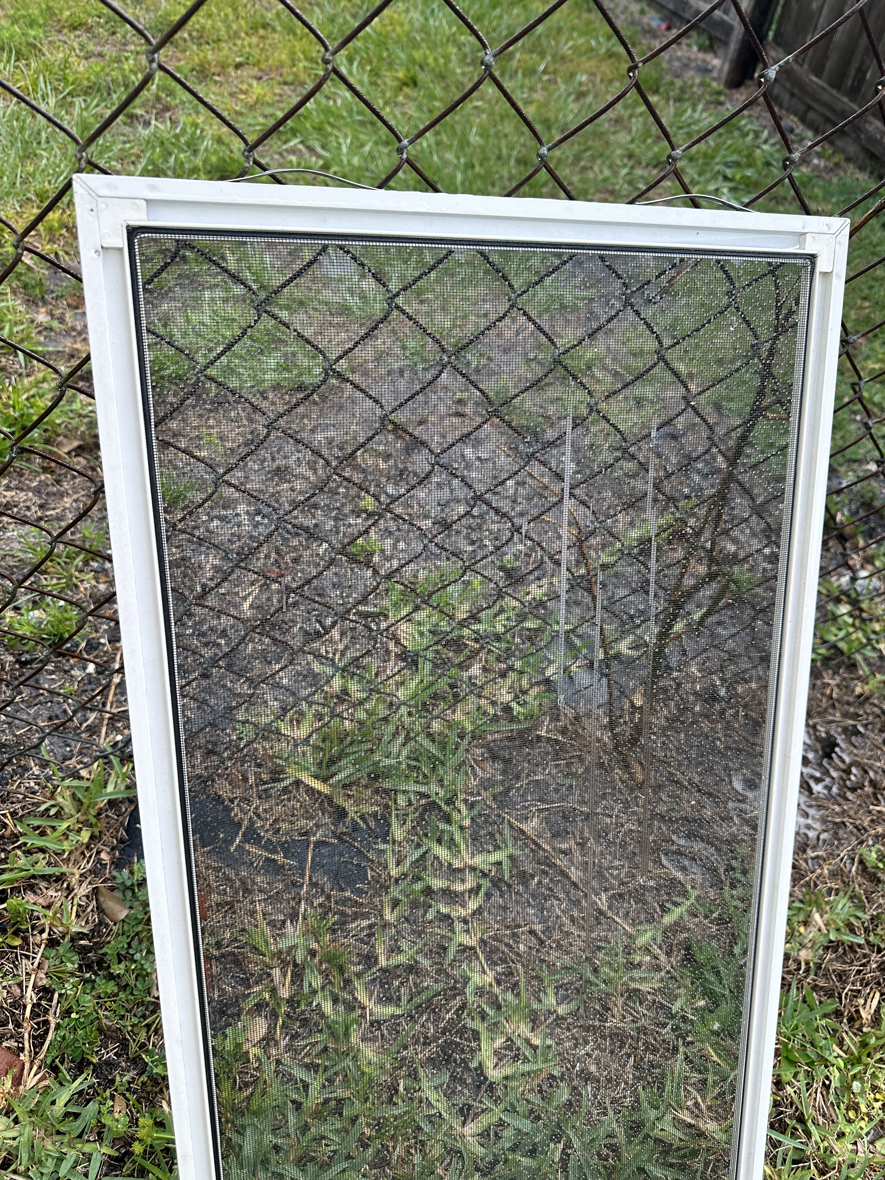 Gallery photos for Your Window Screens Are Dirtier Than You Think: Image #1