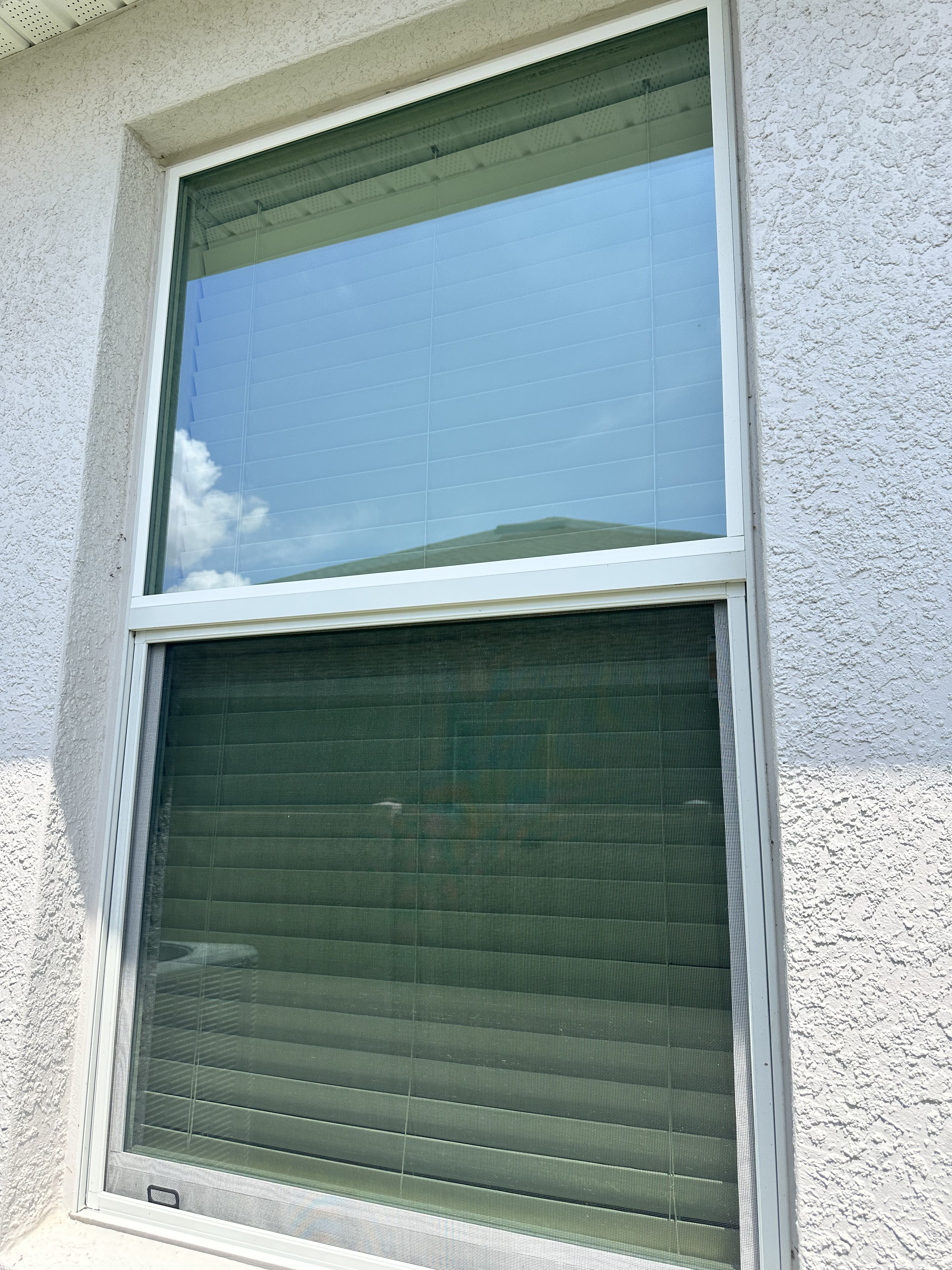 Exterior Window Cleaning in Lakeland That Actually Makes a Difference image