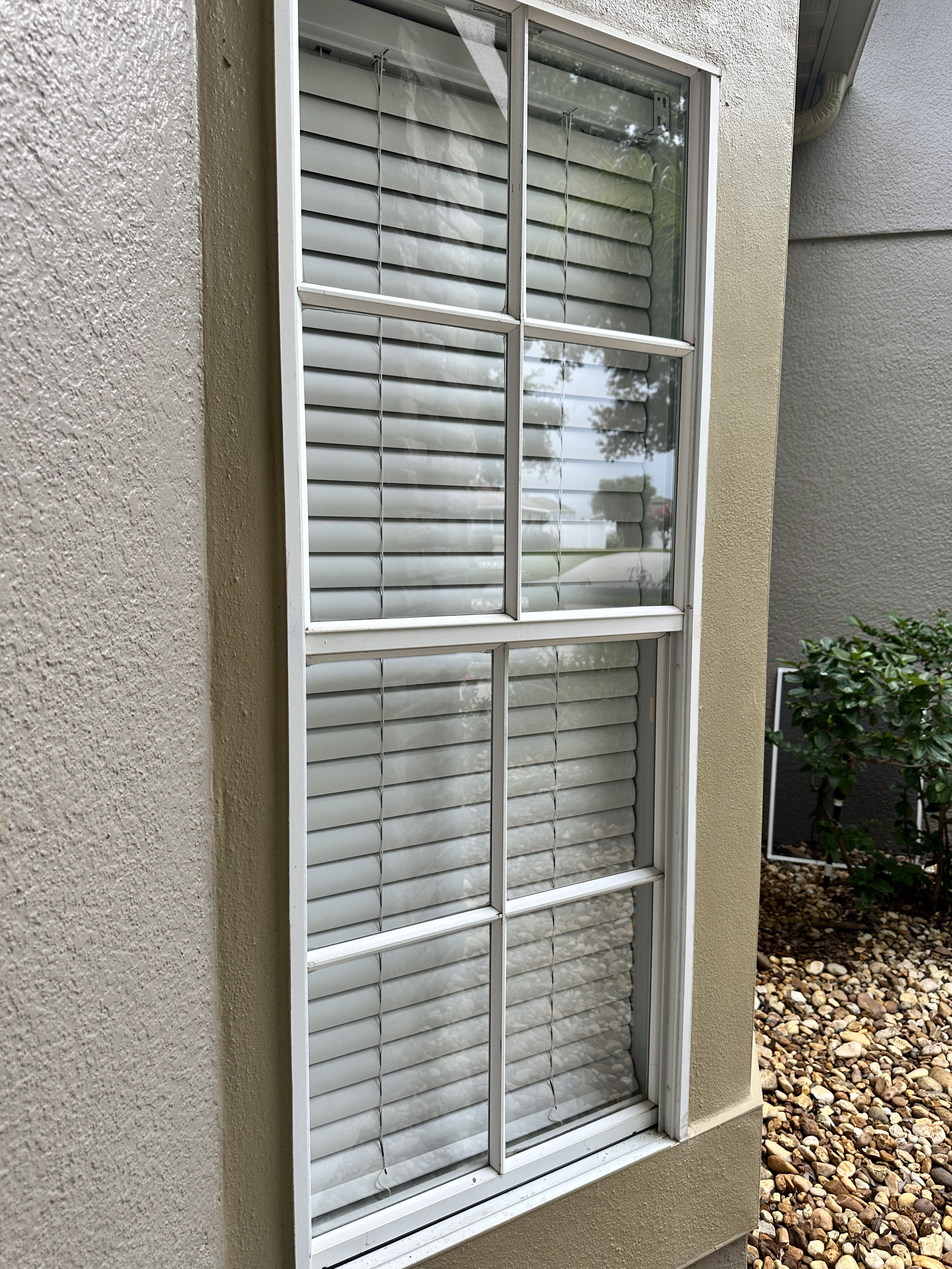 Gallery photos for Exterior Window Cleaning Done Right for Lakeland Homes: Image #1