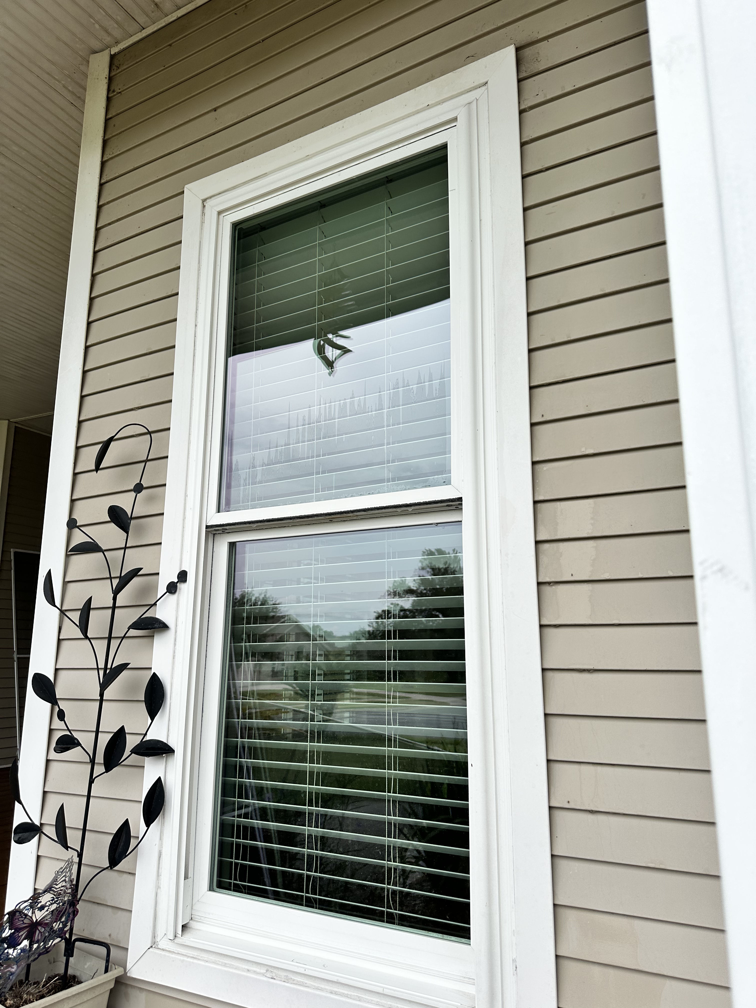 Clean Exterior Windows Make Your Home Look Sharp image