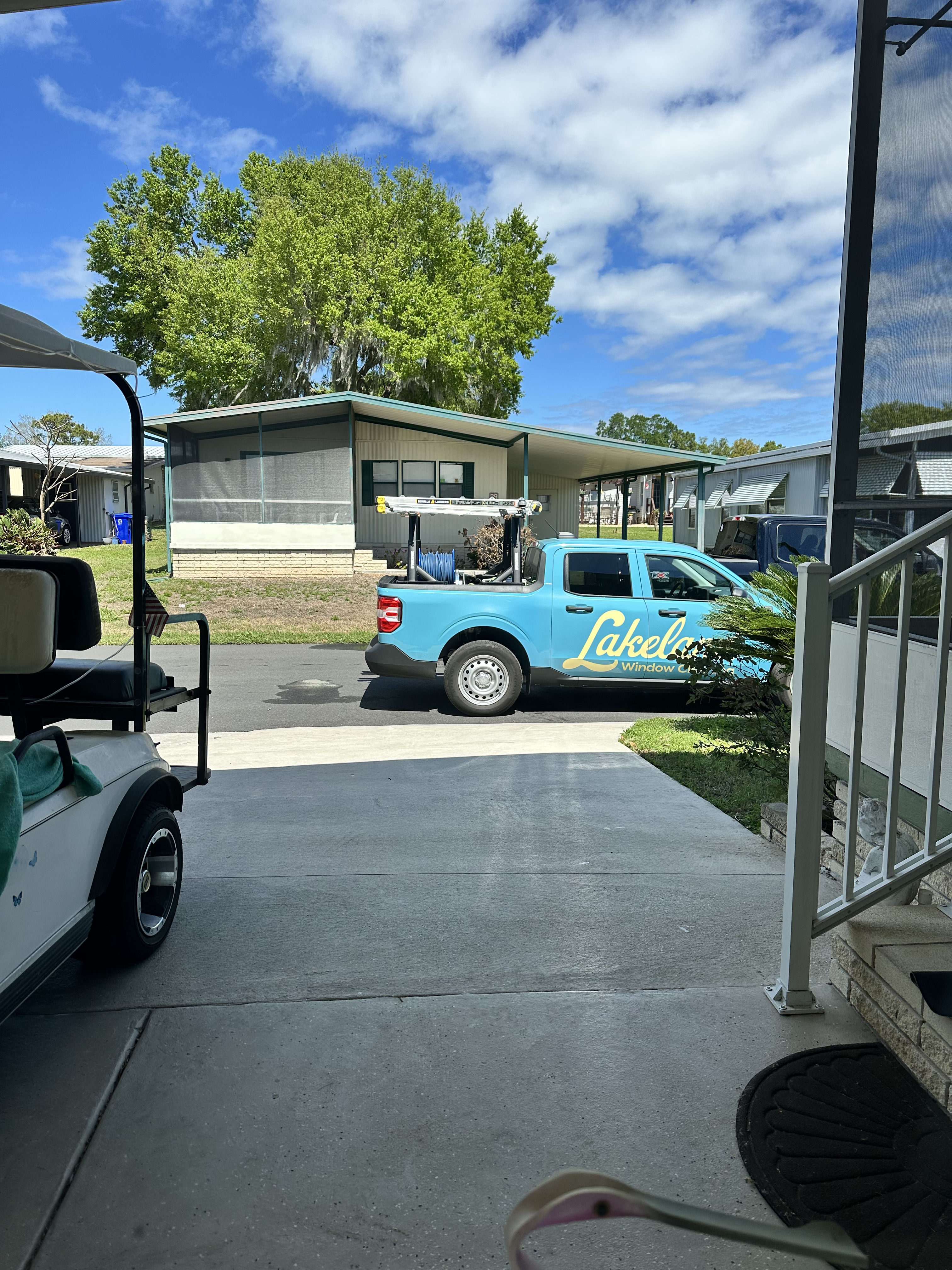 Efficient Tree Removal and Pristine Window Cleaning image