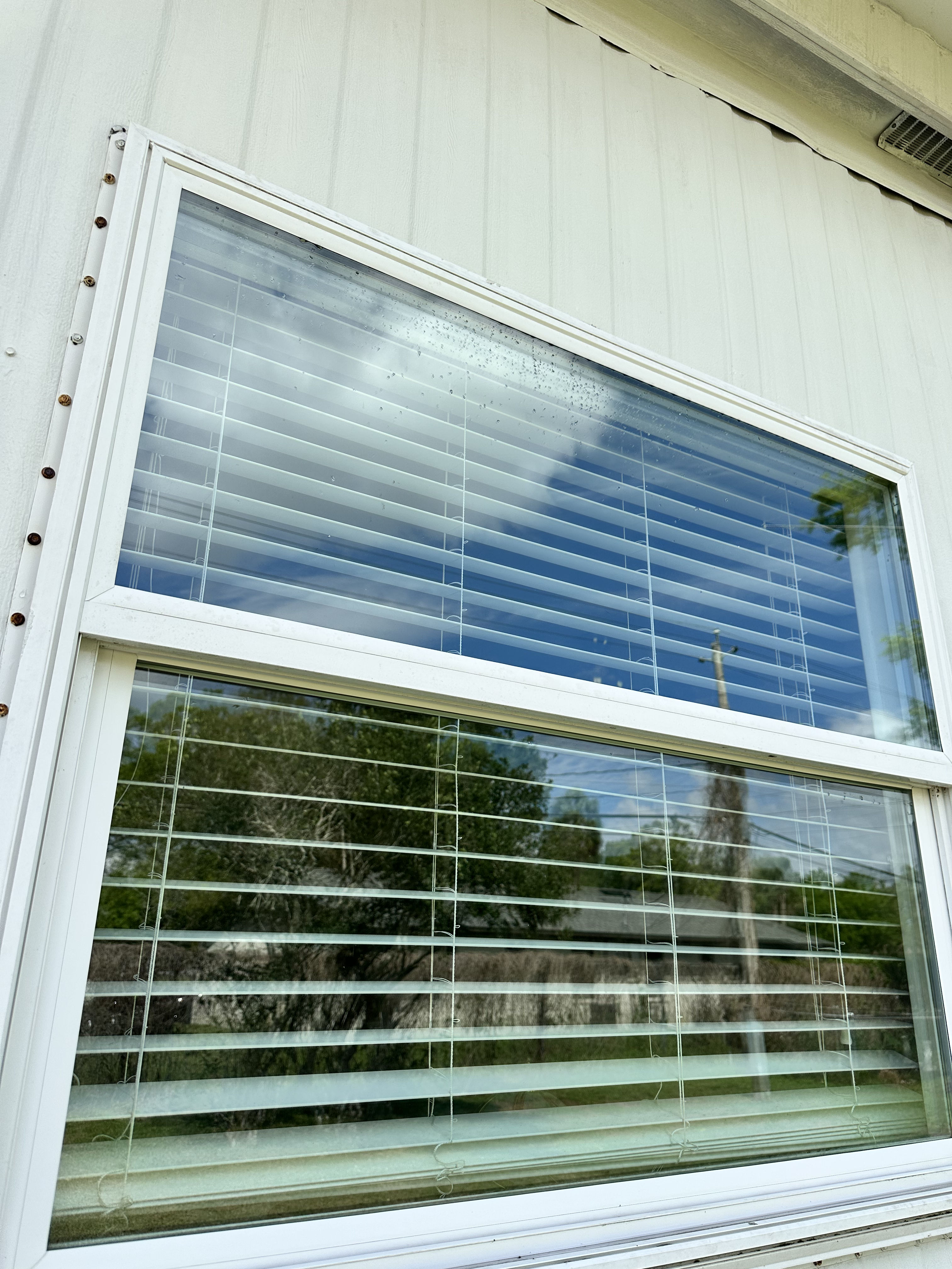Enjoy the Summer with Pristine Windows image