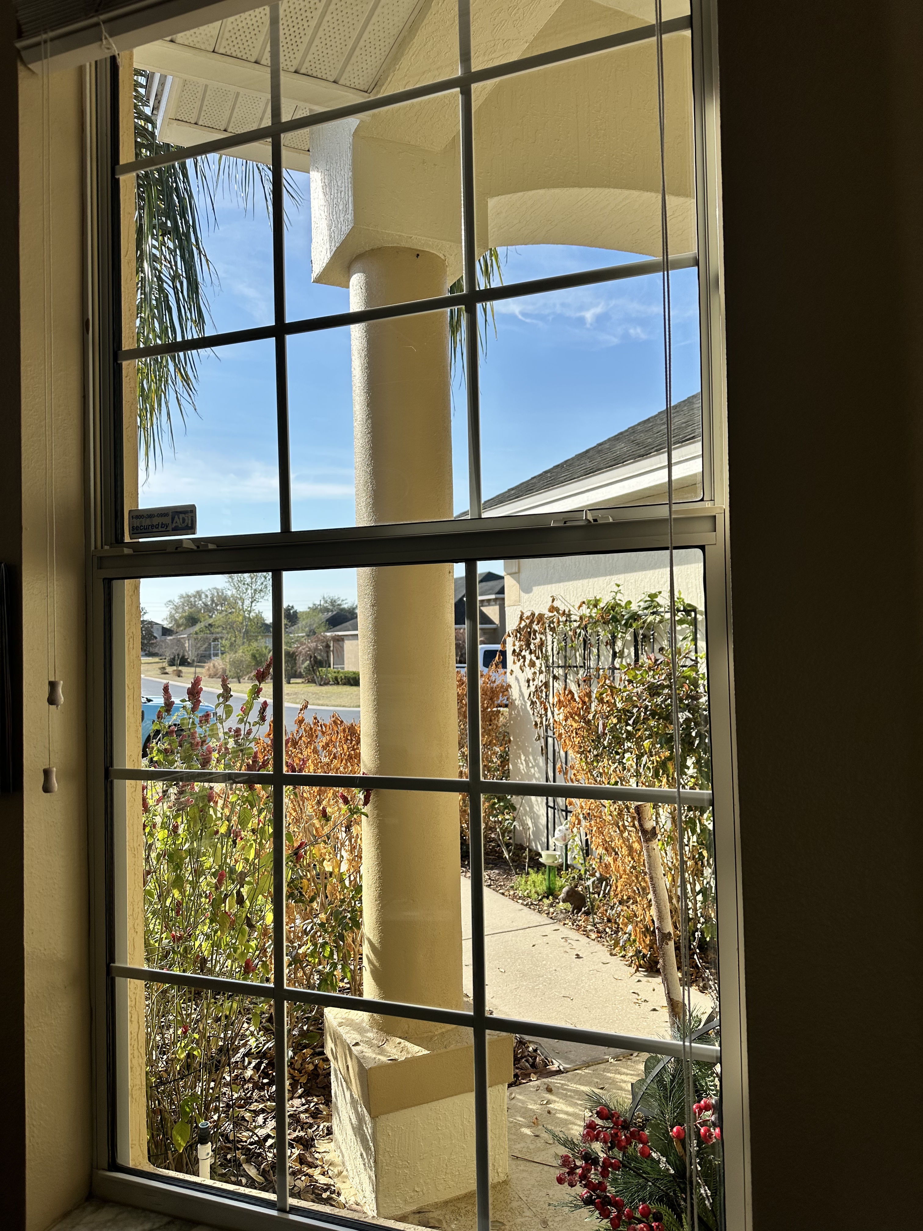 Brightening Up Stoney Creek Drive Lakeland image