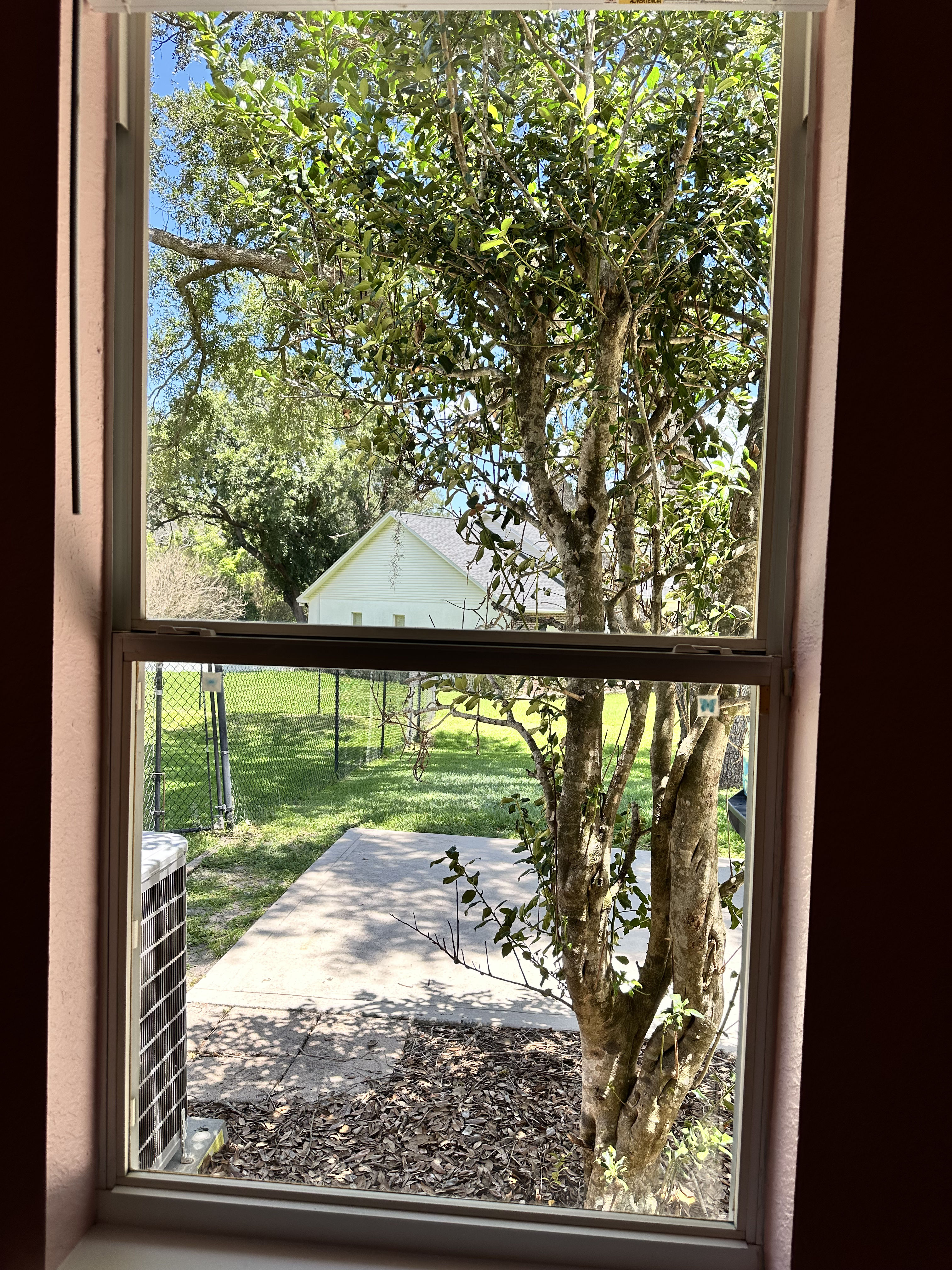 Clean Windows That Actually Let the Light In image