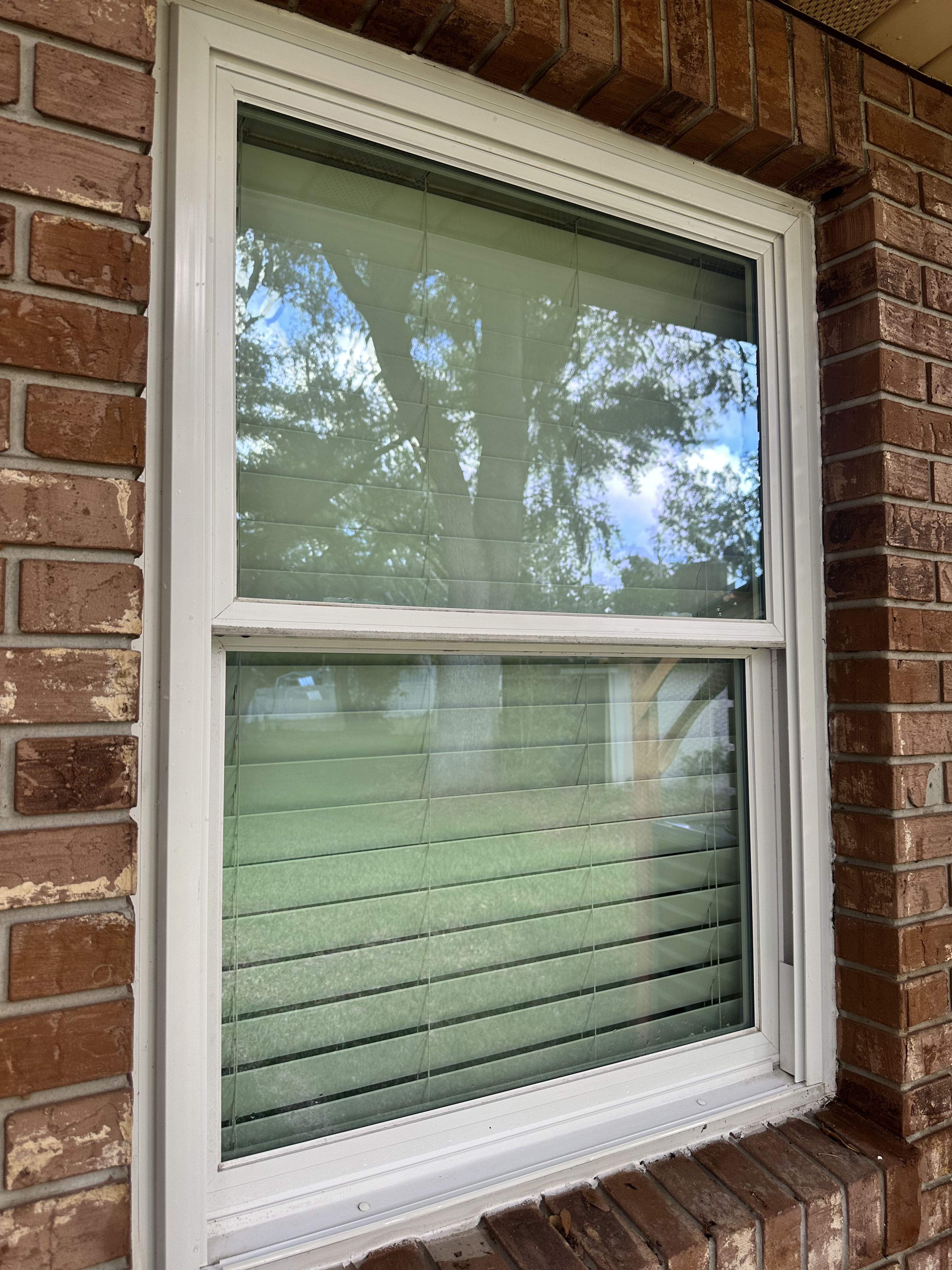 Clean Windows Make Your Lakeland Home Look Sharp image