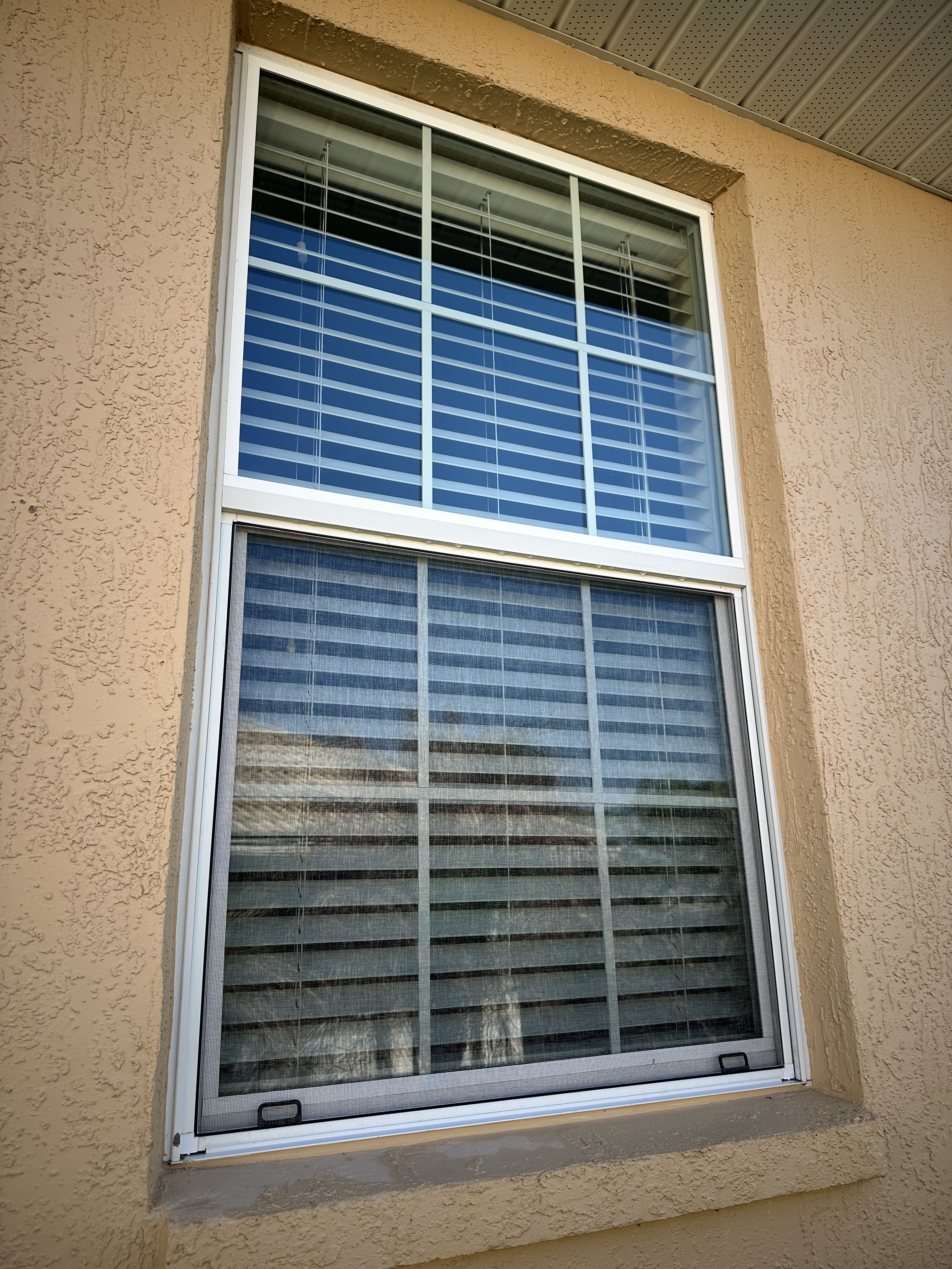 What Florida Weather Does to Your Windows Between Cleanings image