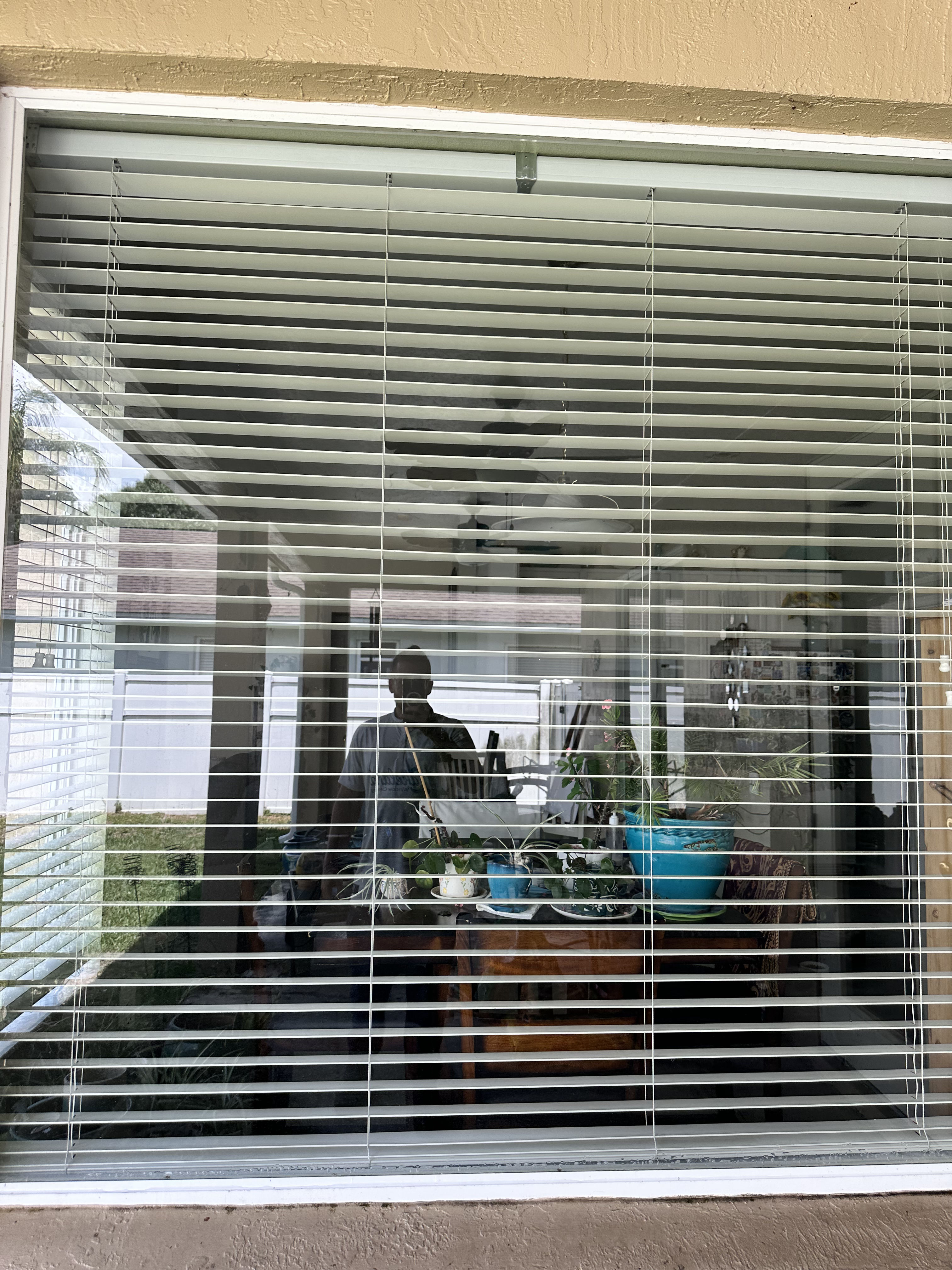 Clean Exterior Windows Make a Bigger Difference Than You Think image
