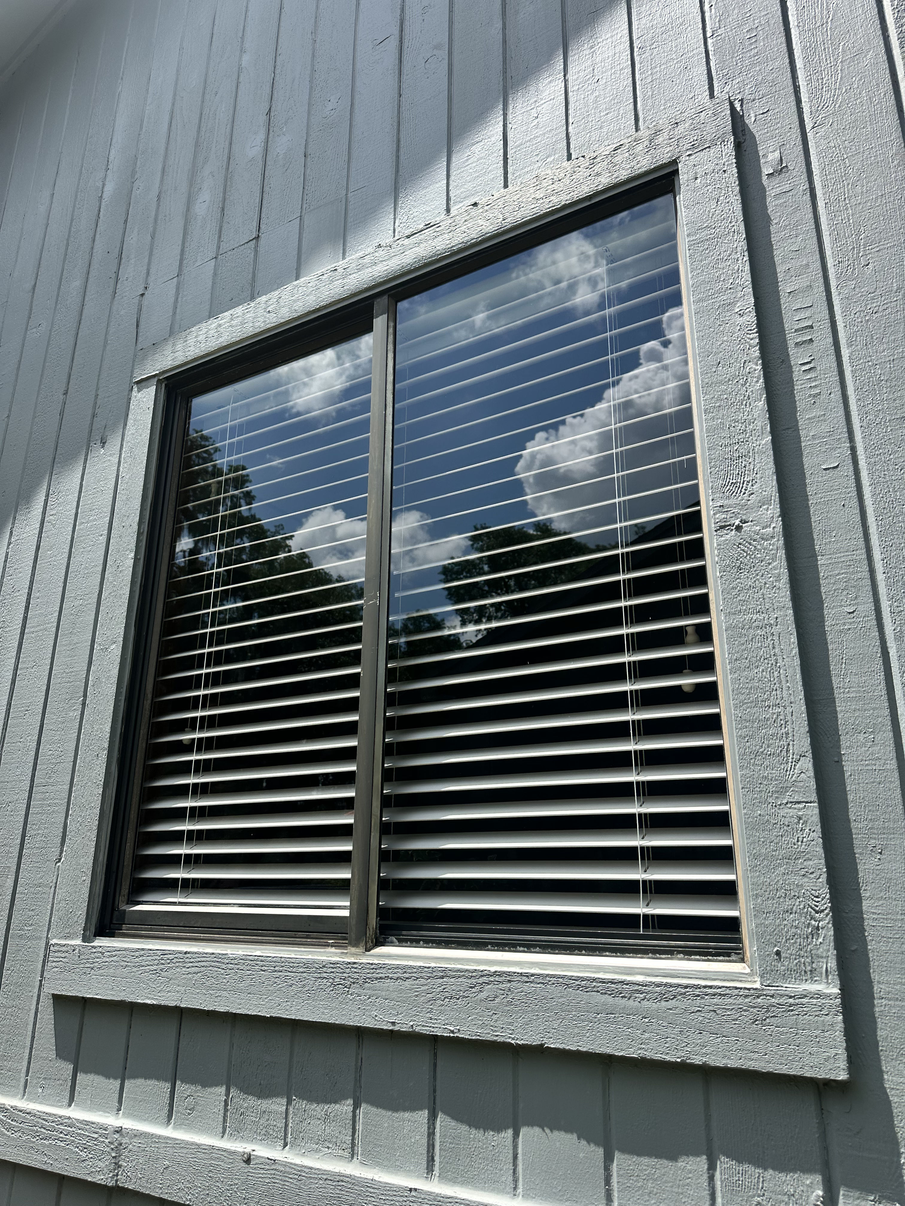Exterior Window Cleaning That Brings the Outside In image
