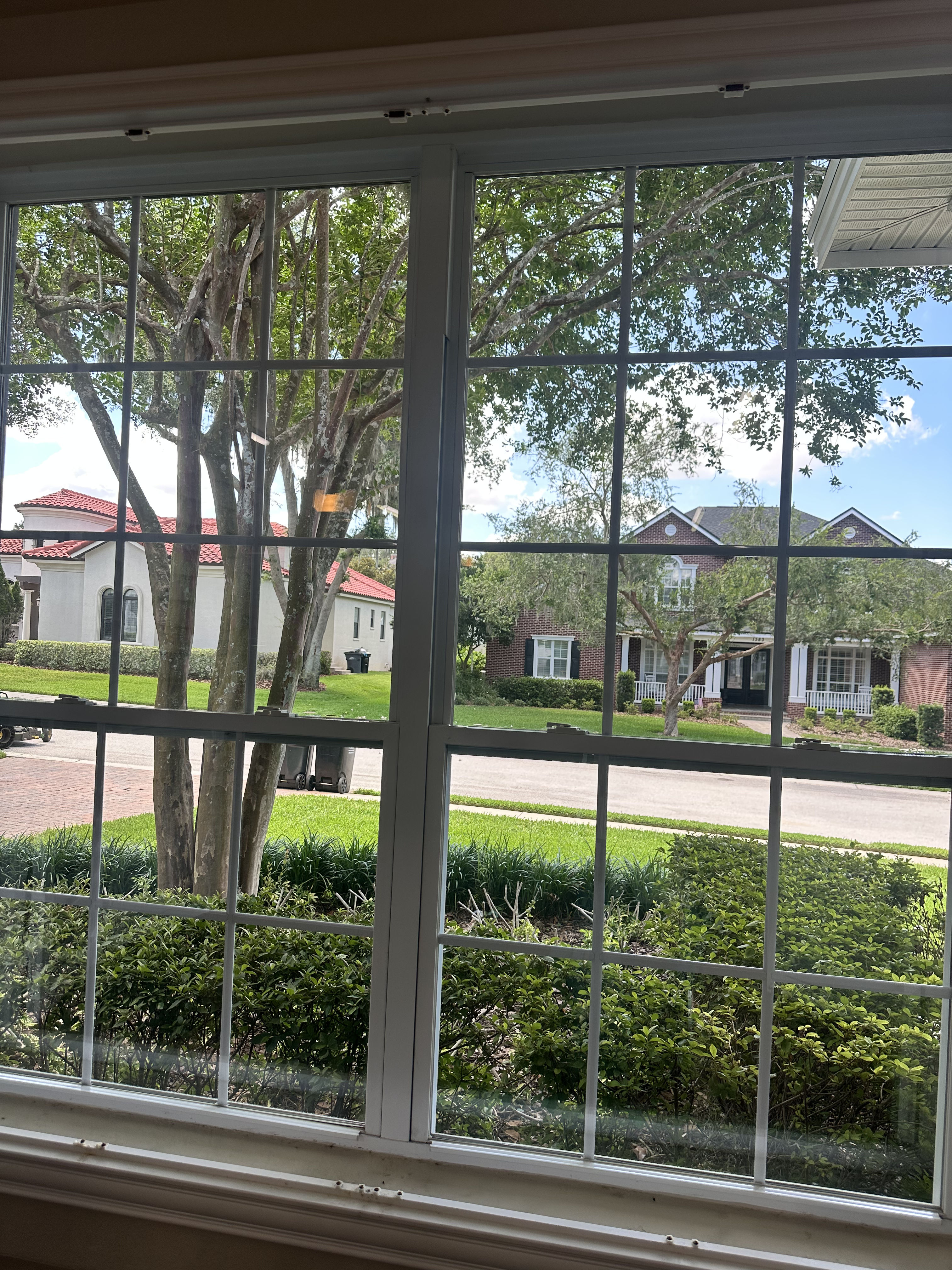 Clean Windows Make Every View Better in Lakeland image