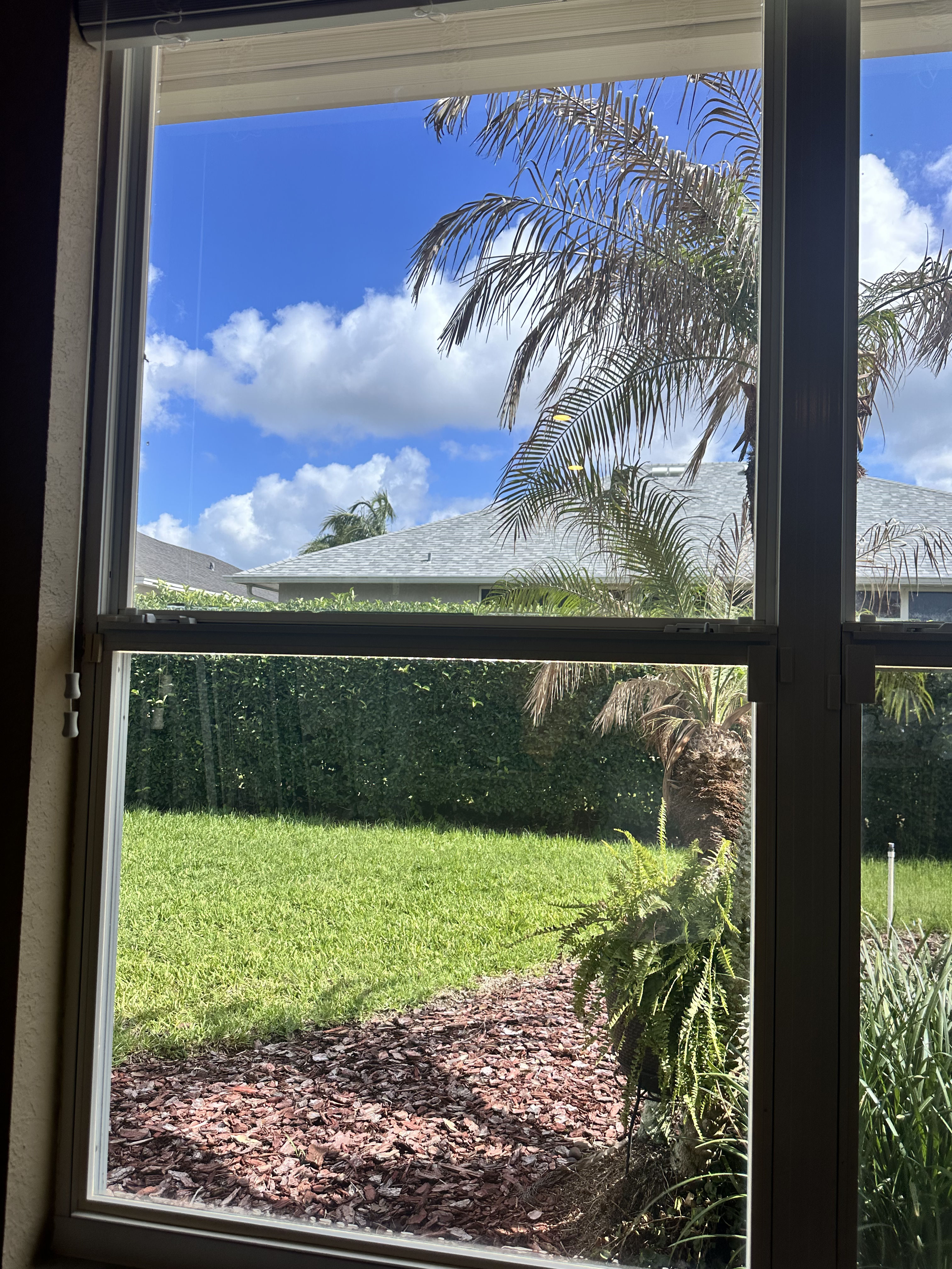 Crystal Clear Interior Window Cleaning in Lakeland FL image