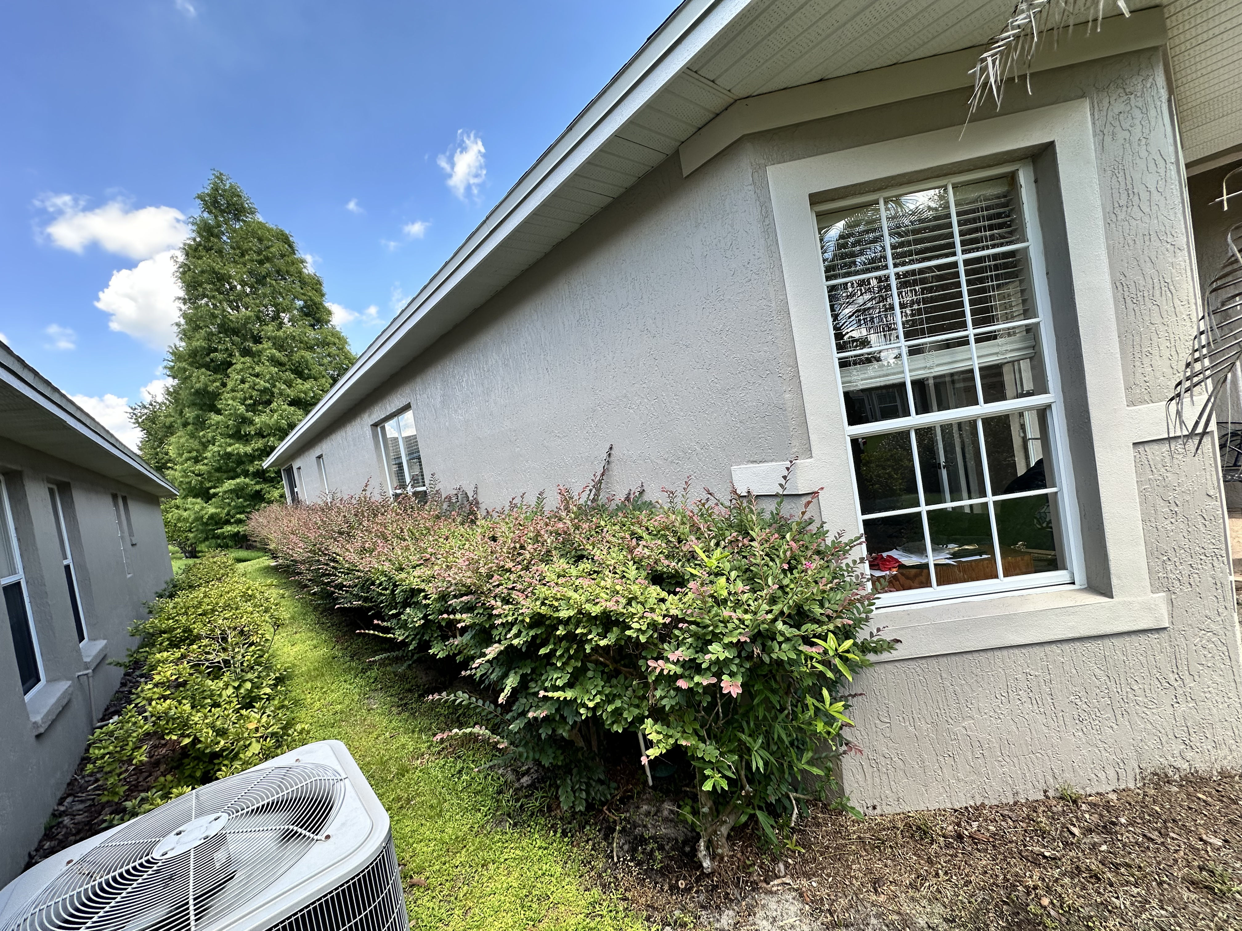 Streak-Free Exterior Window Cleaning That Sharpens Your Home's Look image