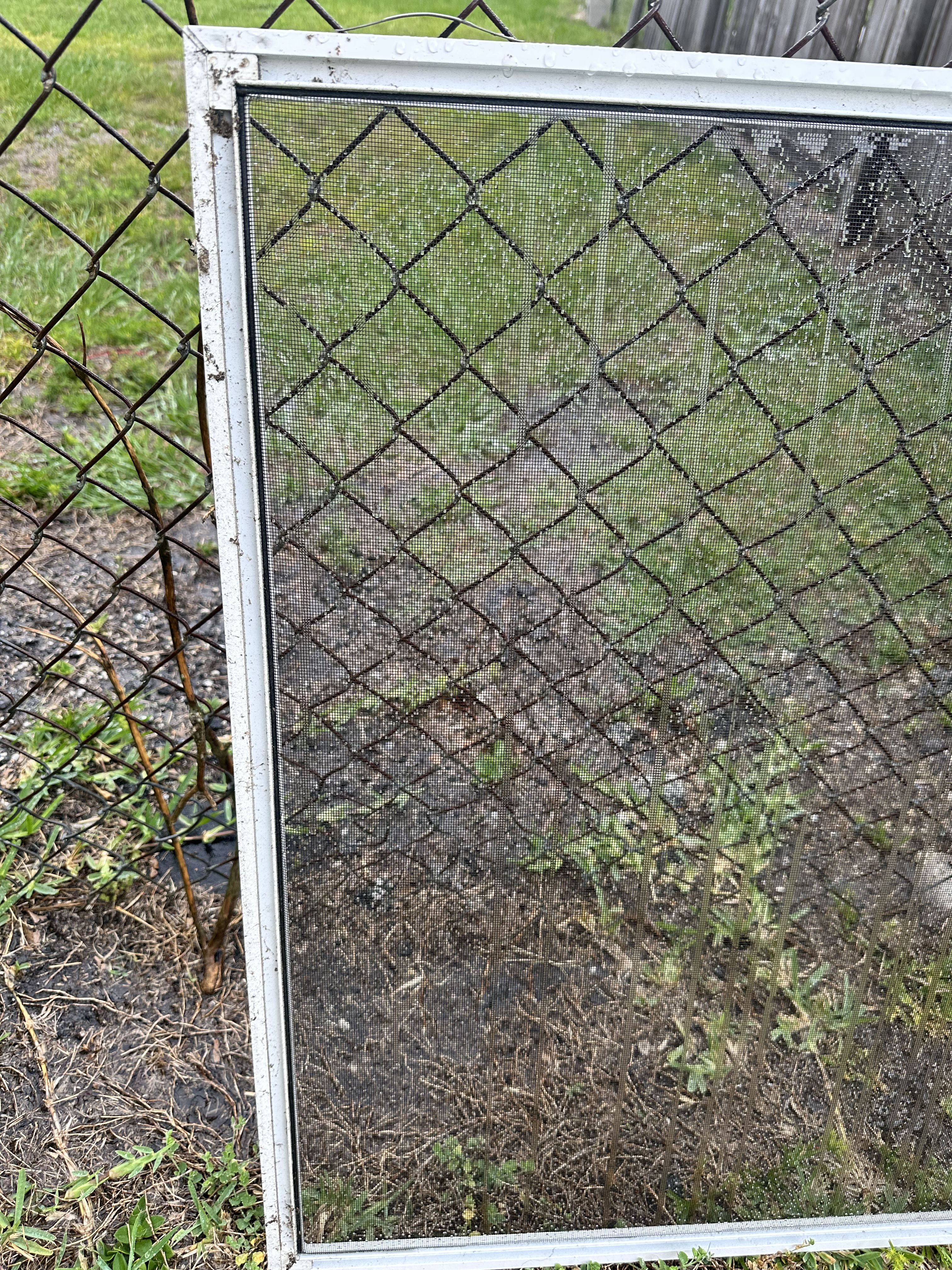 Your Window Screens Are Dirtier Than You Think image