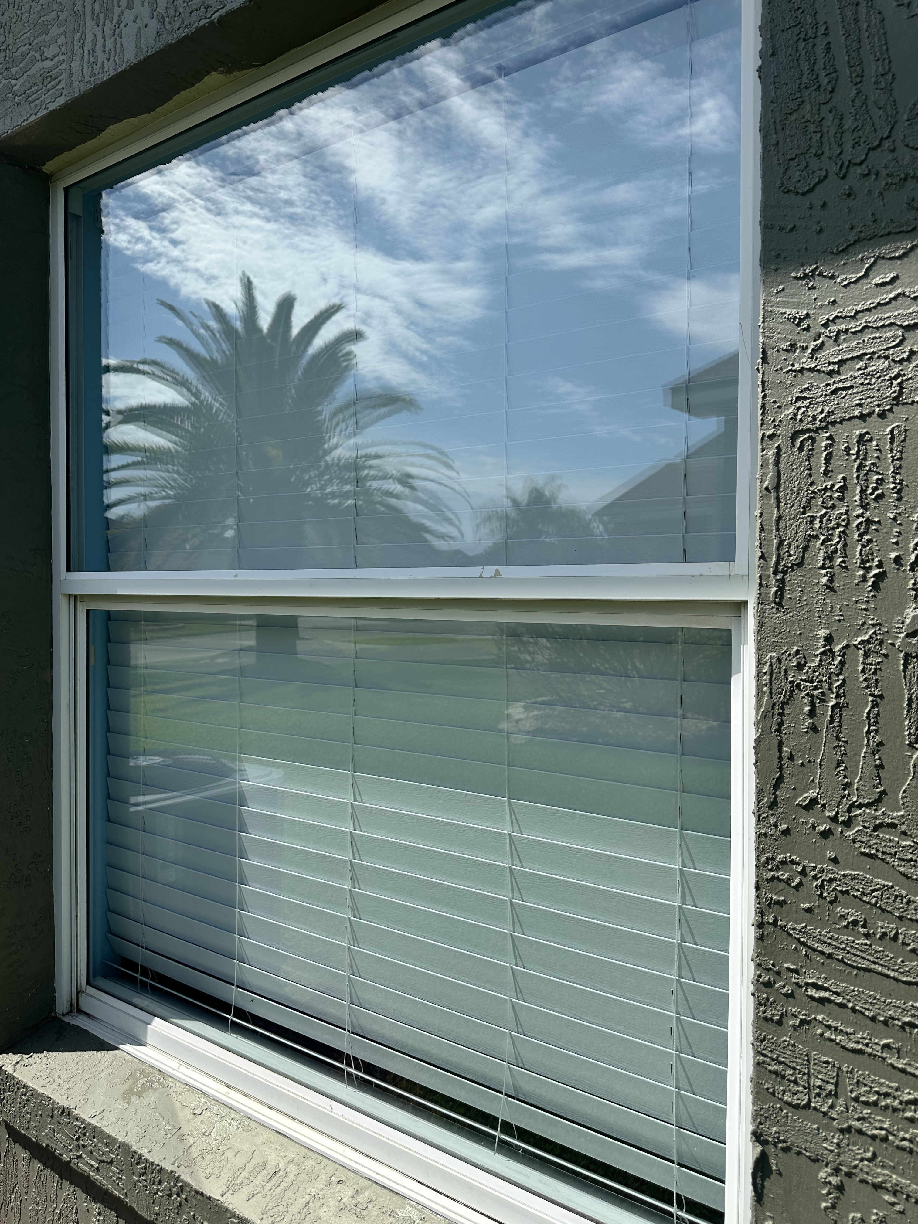 Clean Exterior Windows Make a Bigger Difference Than You Think image