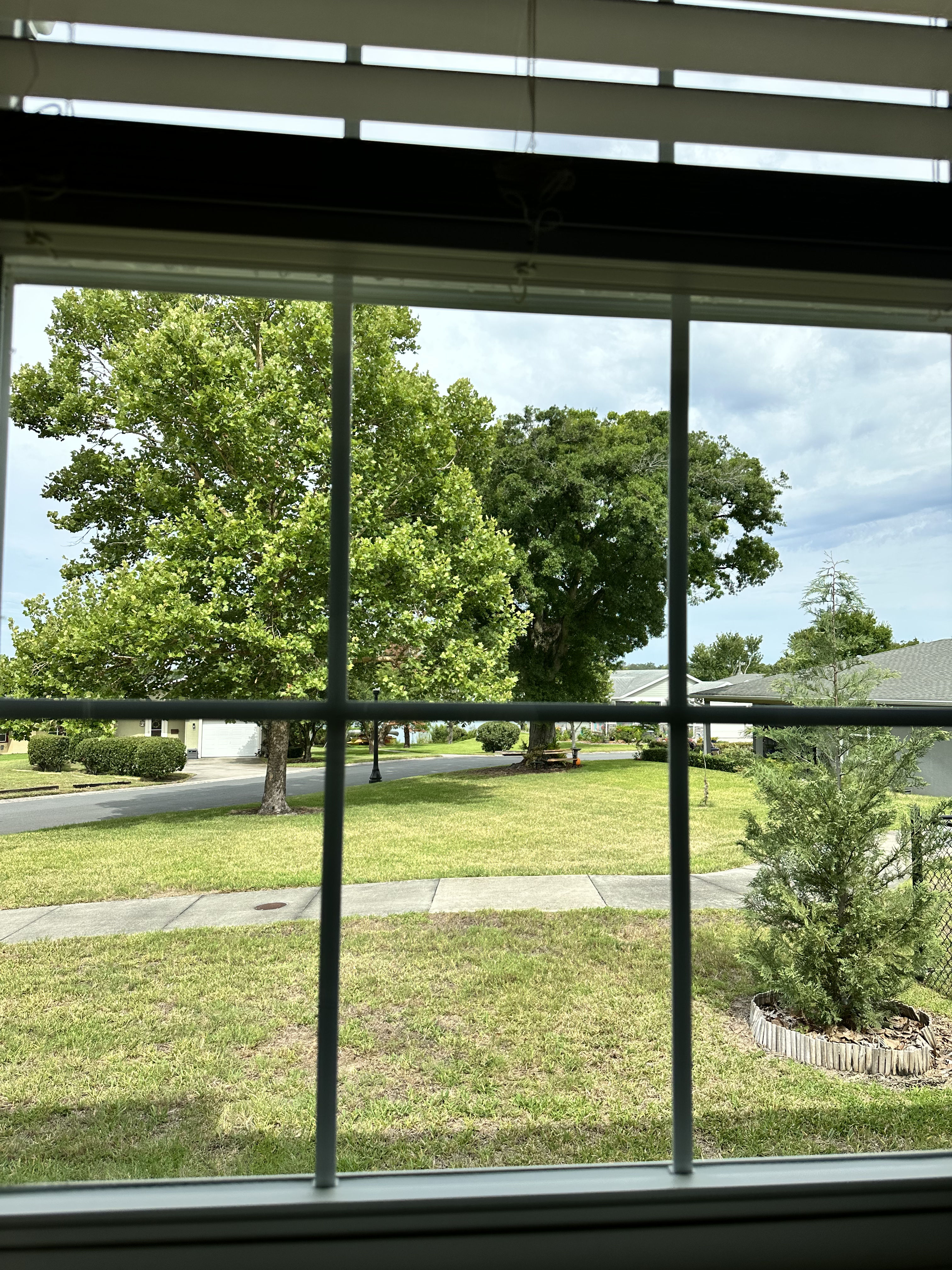 Gallery photos for Clean Exterior Windows Make a Bigger Difference Than You Think: Image #1