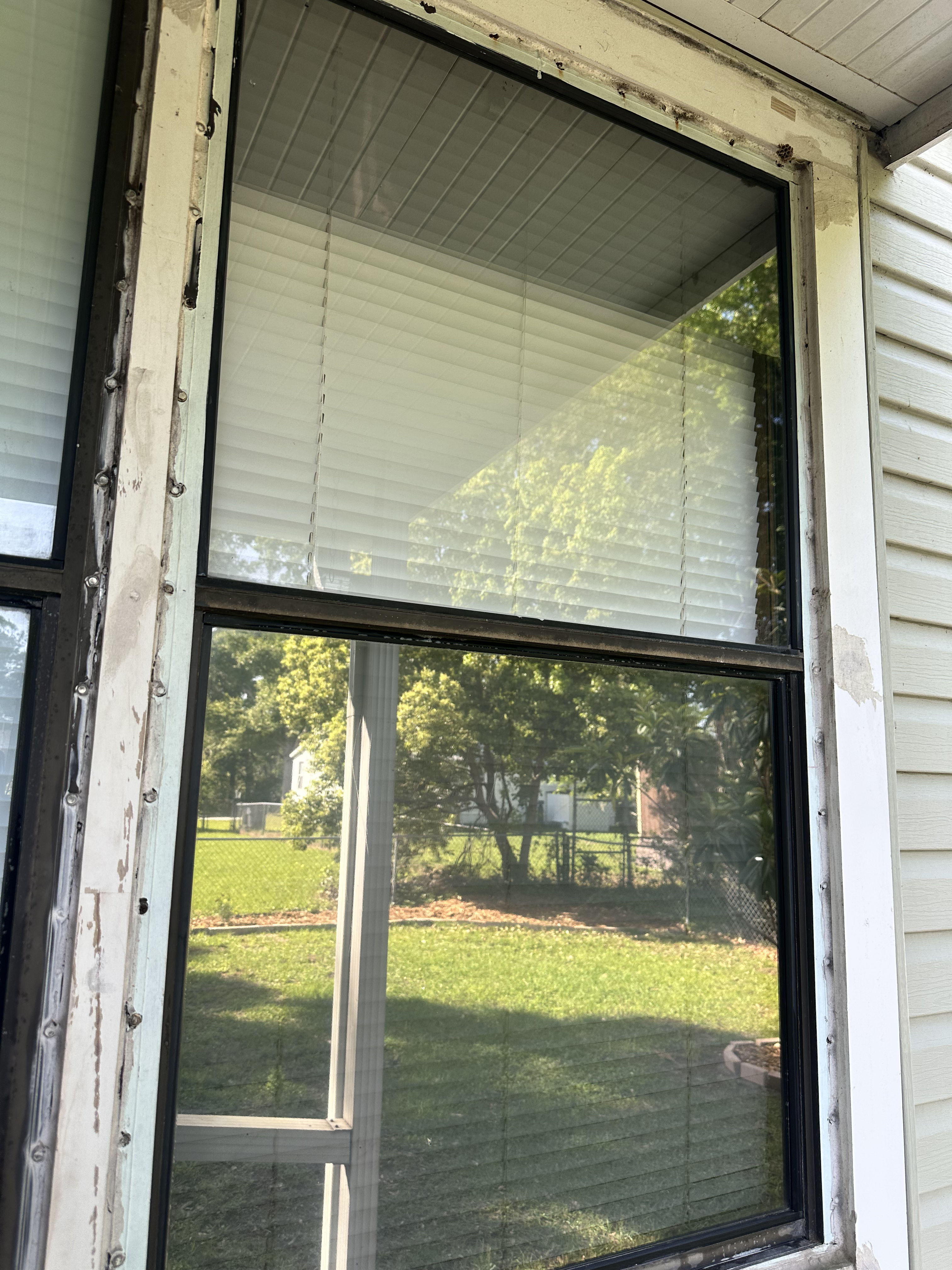 Your View Deserves Clean Windows image
