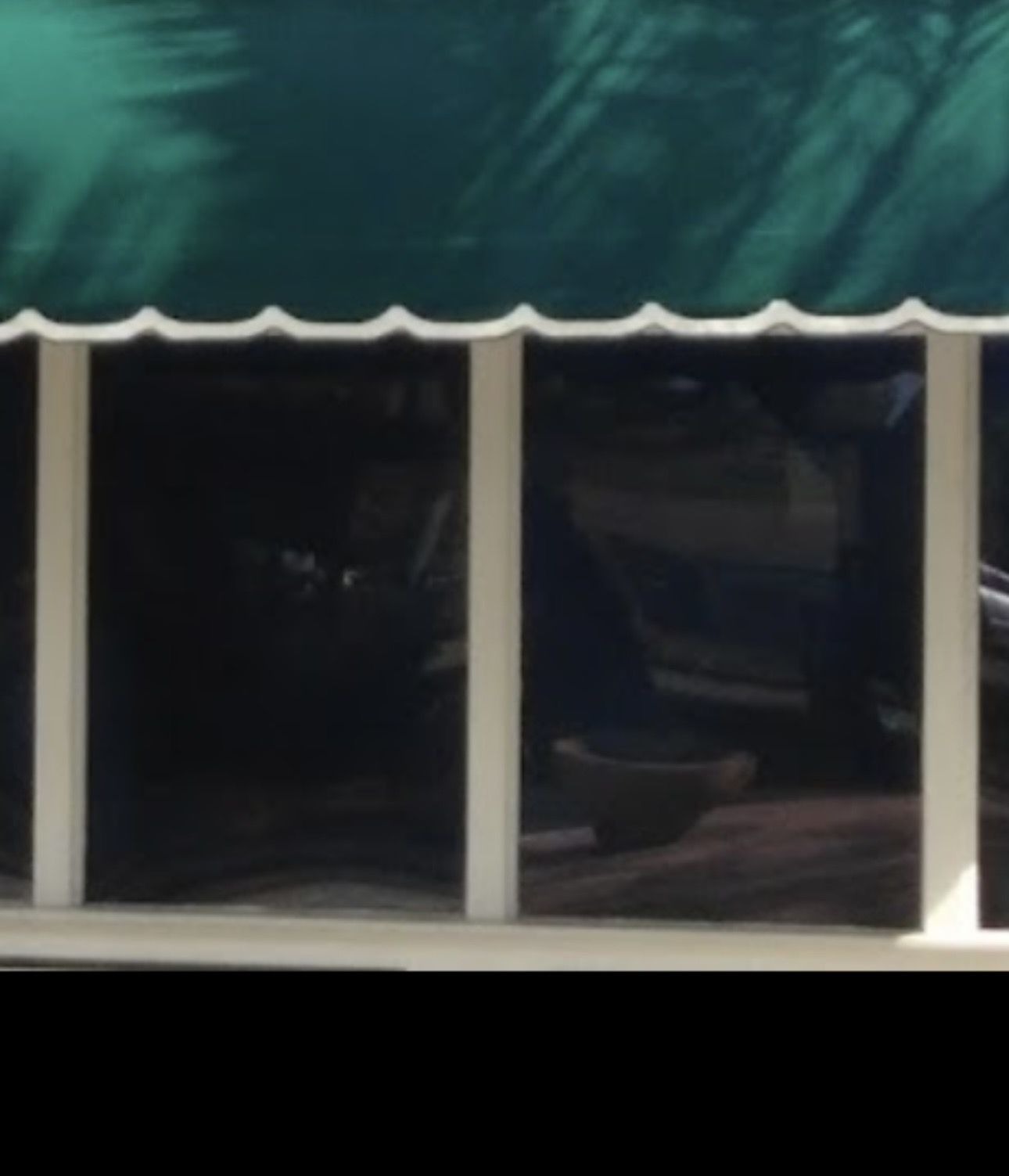 Spotlighting Style with Clean Windows in Lakeland image